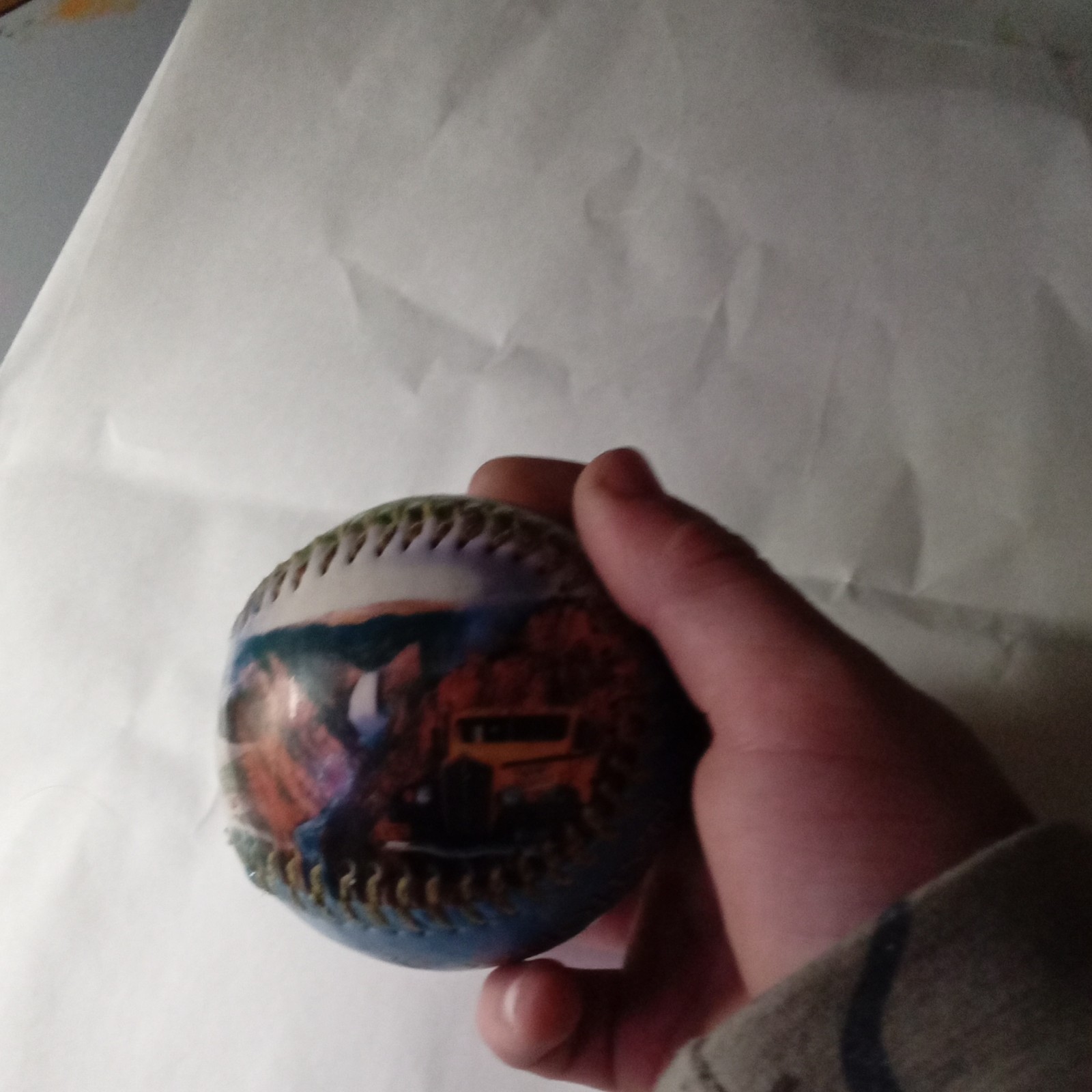 Yellowstone National Park Collectible Souvenir Baseball Bear Bison Images