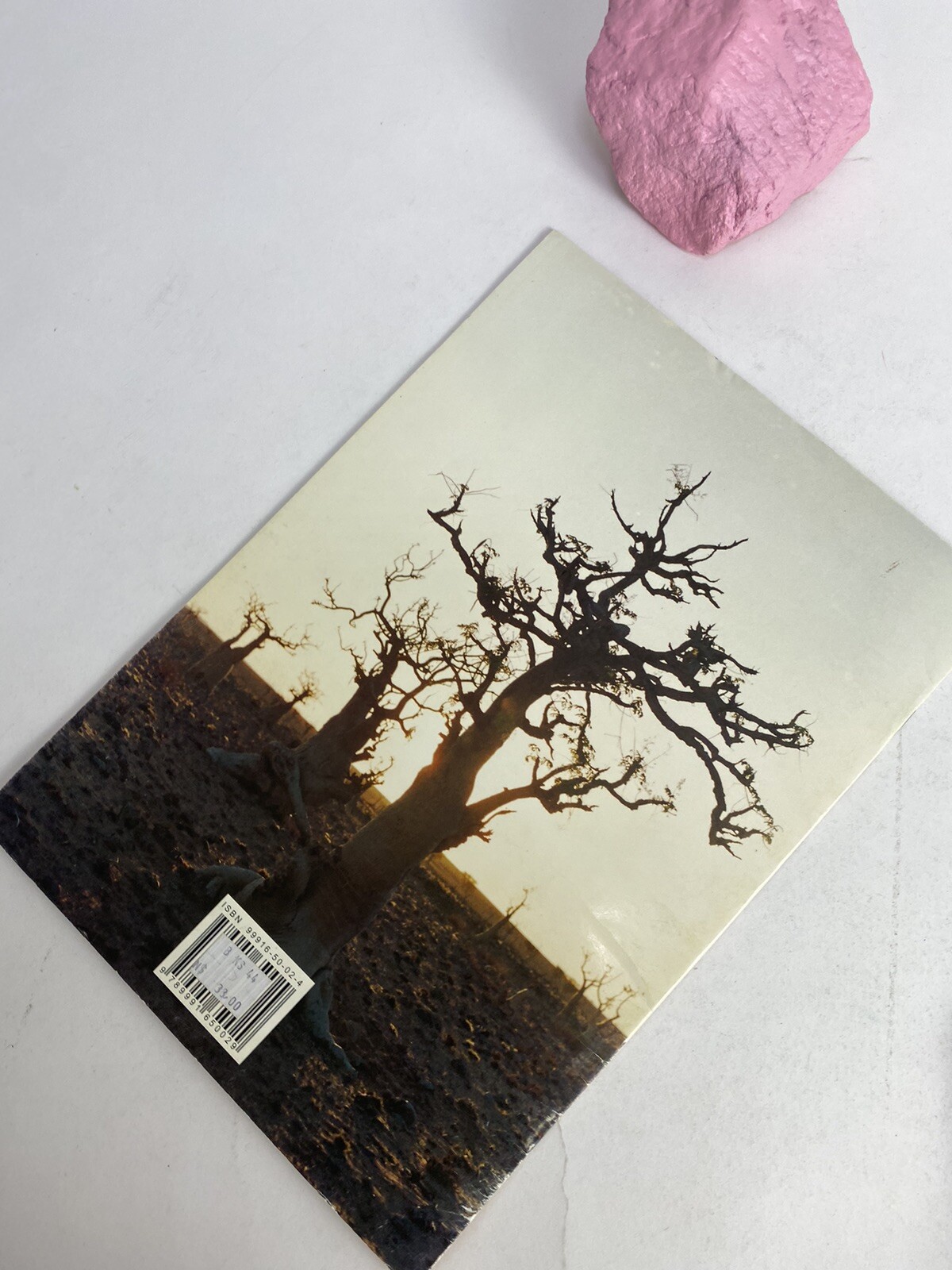 1997 Namib – Naukluft Park map and guide