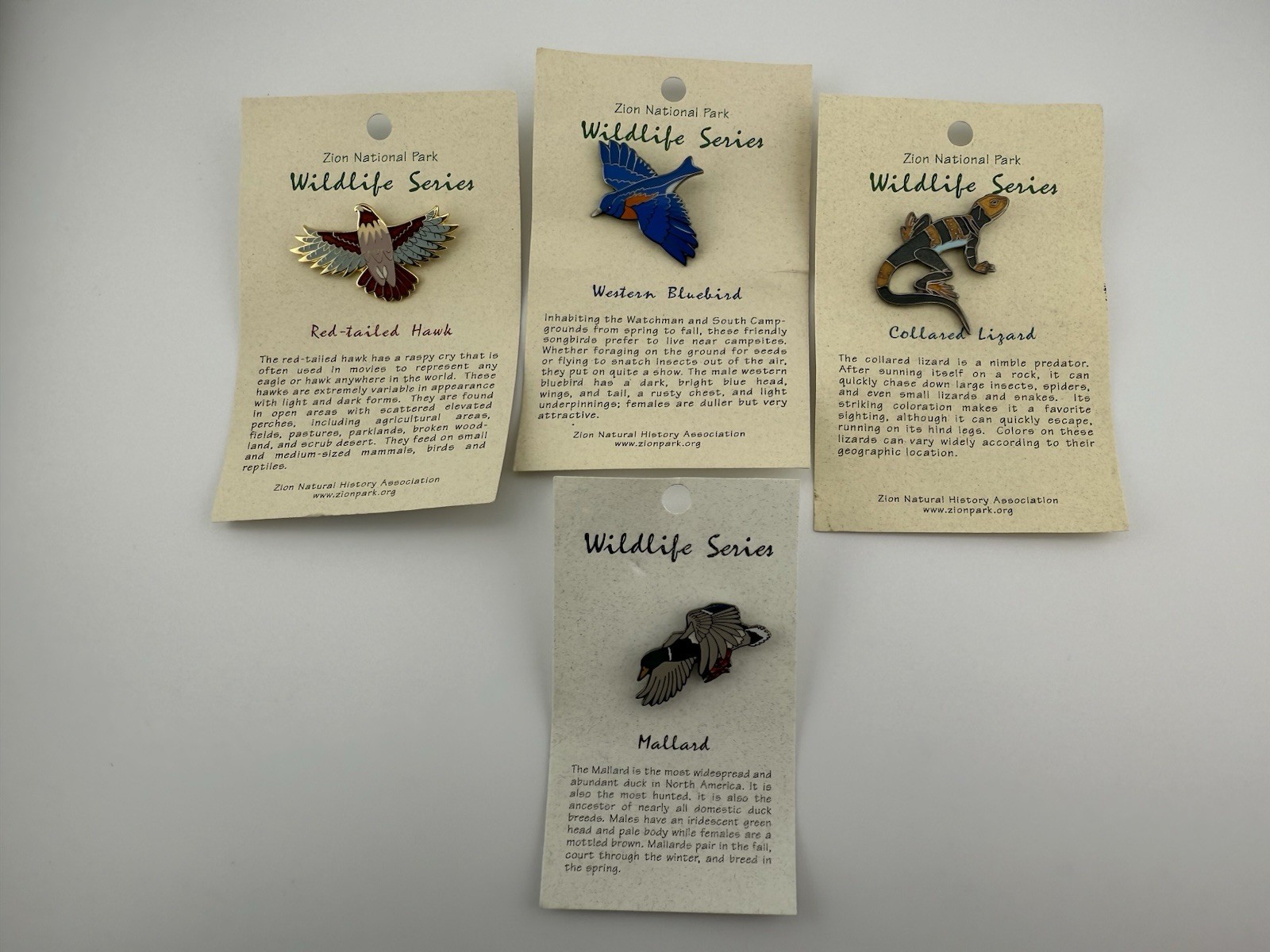 4 Zion National Park Mallard, Bluebird, Collard Lizard, Red-tailed Hawk Pins.