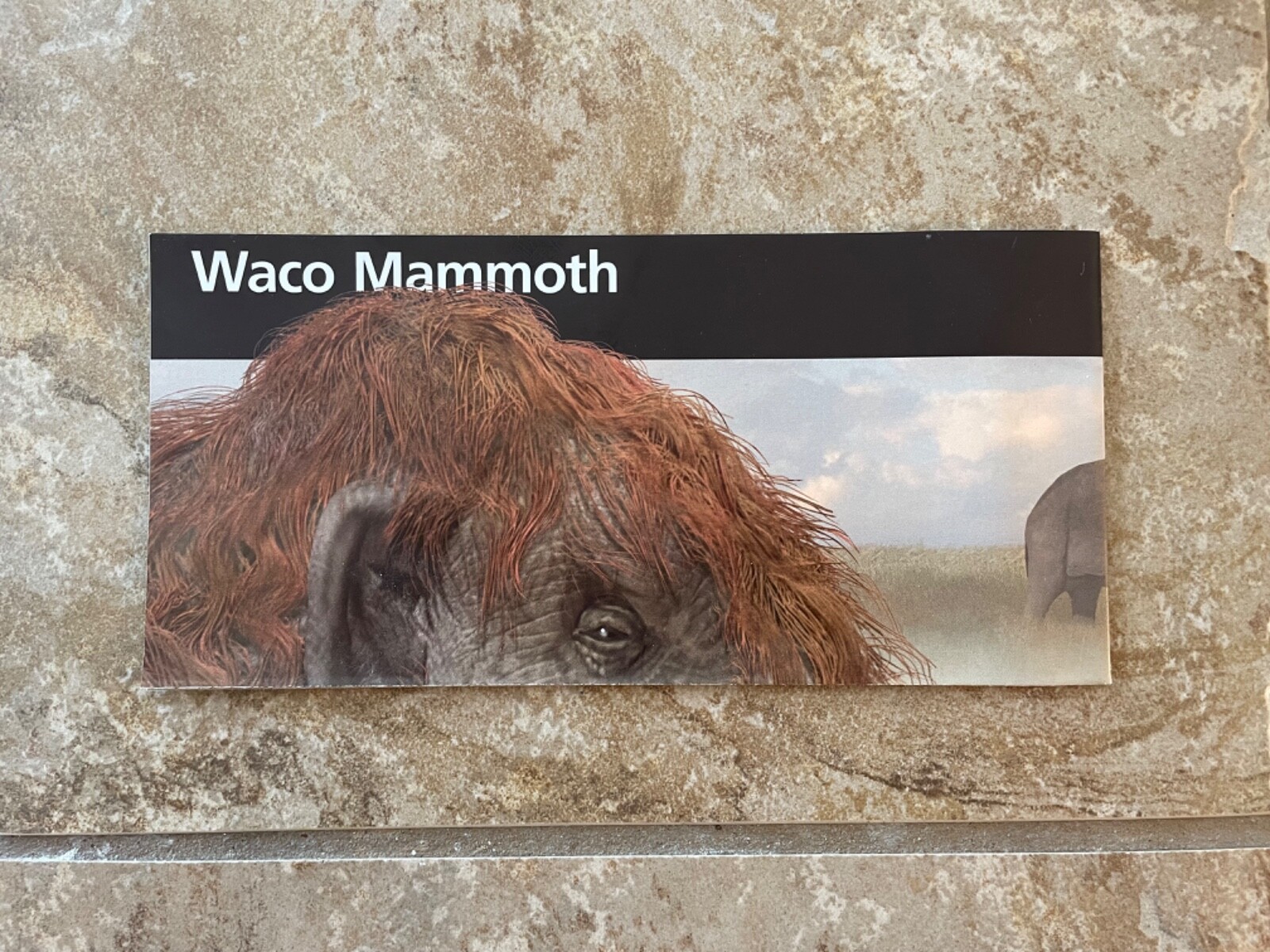 National Park Unigrid Map Waco Mammoth National Monument Texas TX 2018