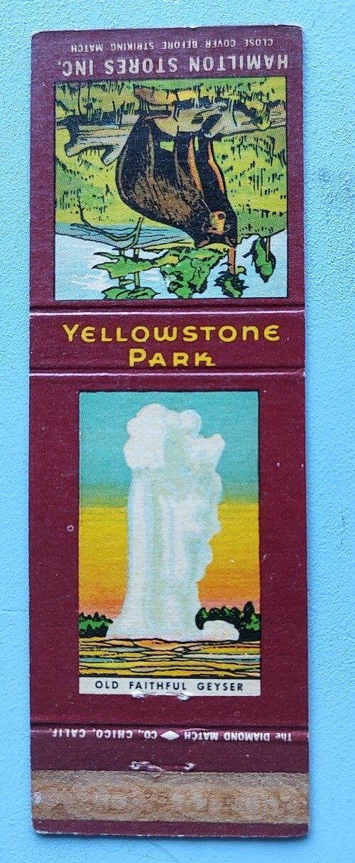Yellowstone Park Old Faithful Geyser Matchbook Cover Hamilton Stores Bear On Log