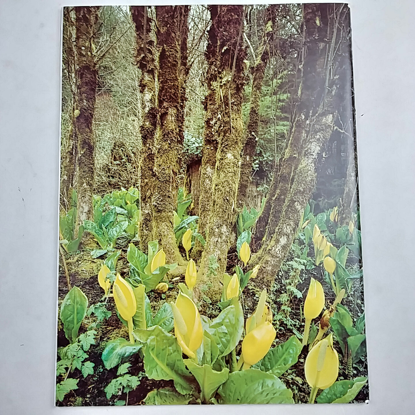 1977 Lewis and Clark Voyage of Discovery Souvenir Picture Boooklet