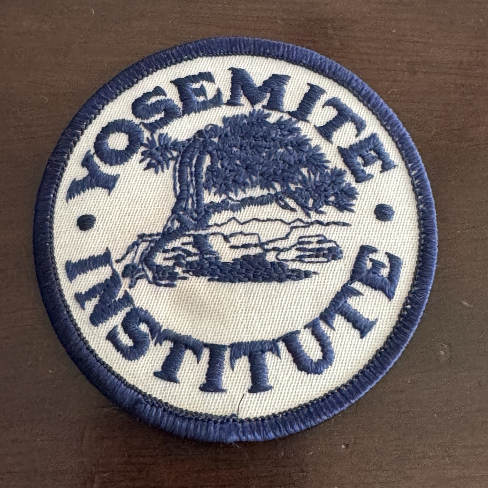 Vintage Yosemite Institute Embroidered Patch 1980s Tree Logo National Park 3”