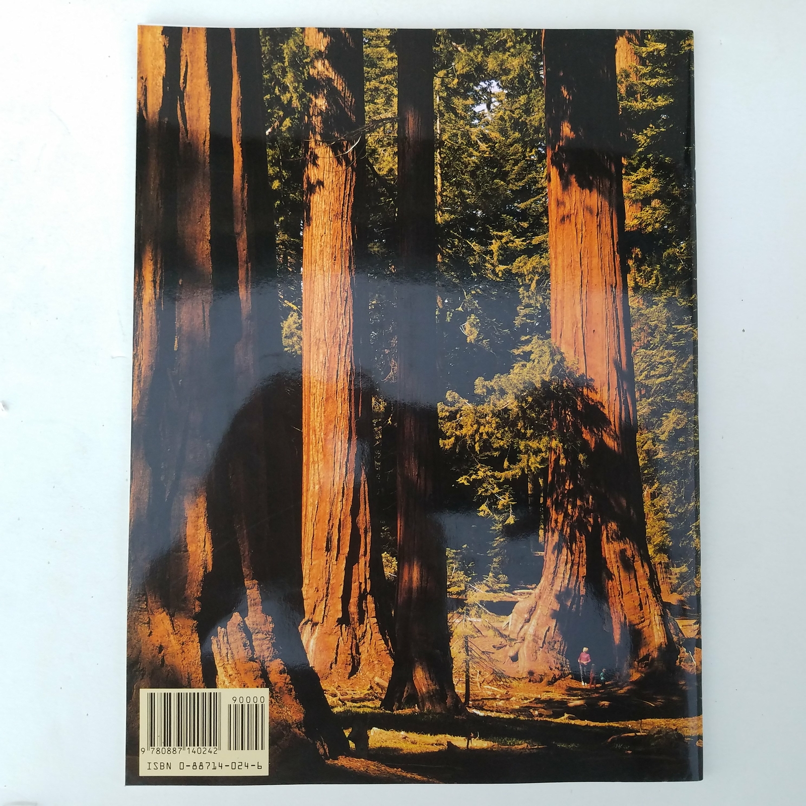 Yosemite – The Story Behind The Scenery 0887140246