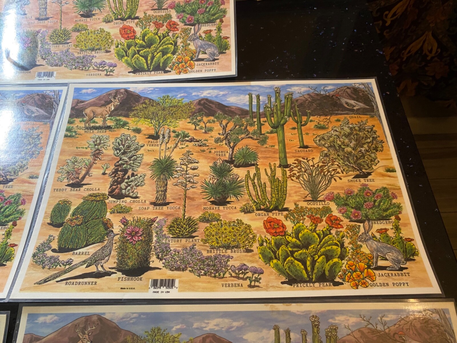 lot of 4 Grand Canyon Painted desert Petrified forest National Parks table mats