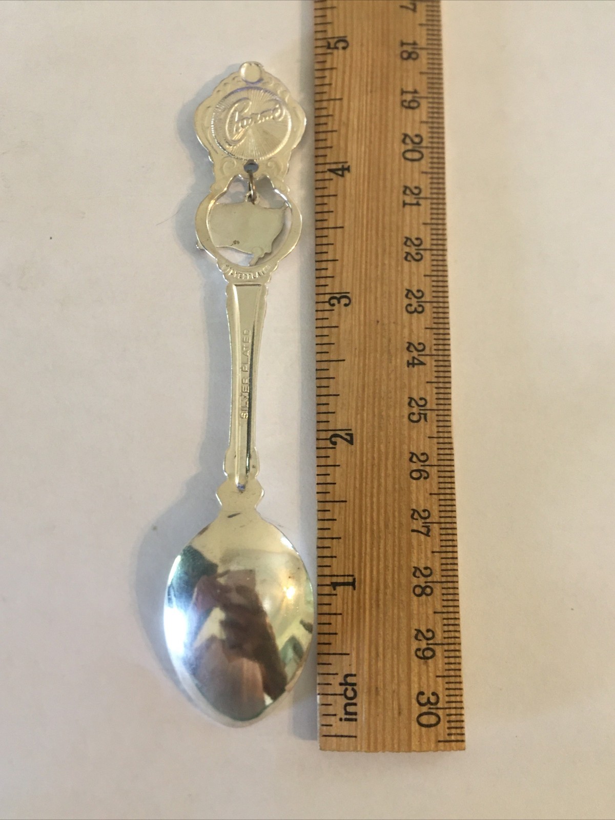 Waterton Lakes National Park Alberta Canada Vintage Souvenir Spoon Collectible