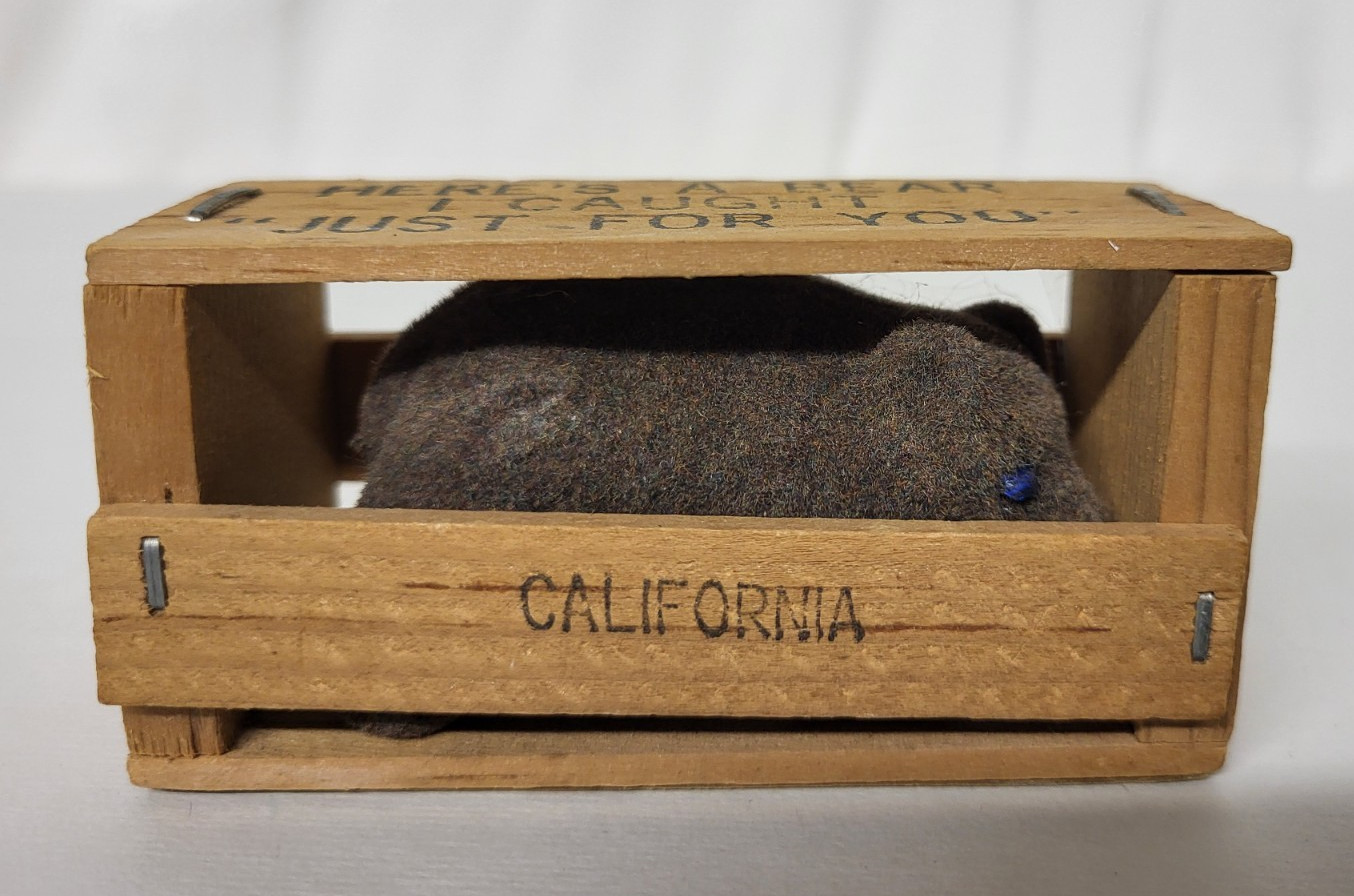 Vintage California Souvenir Here’s A Bear I Caught Just For You Felt Bear Mailer