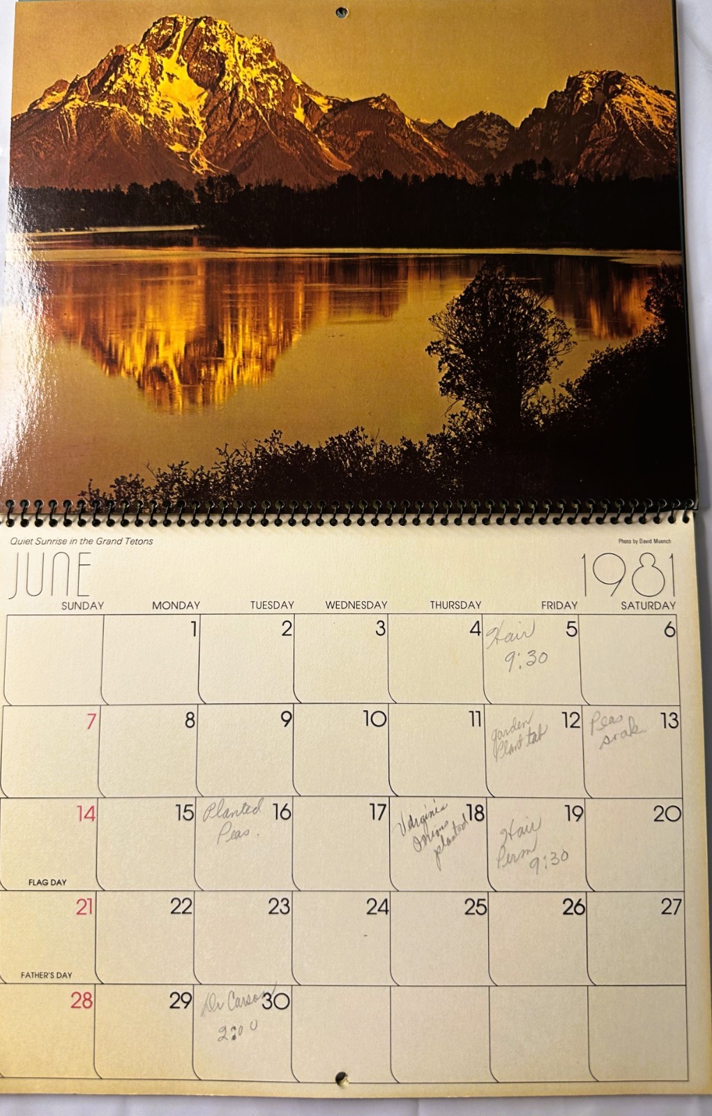 1981 Yellowstone & Grand Teton National Parks Wyoming Color Calendar Spiral Hang