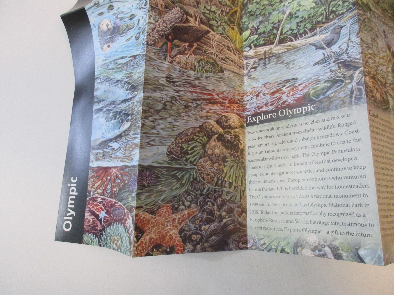 2020 Olympic Washington National Park System Brochure Map Guide~B24