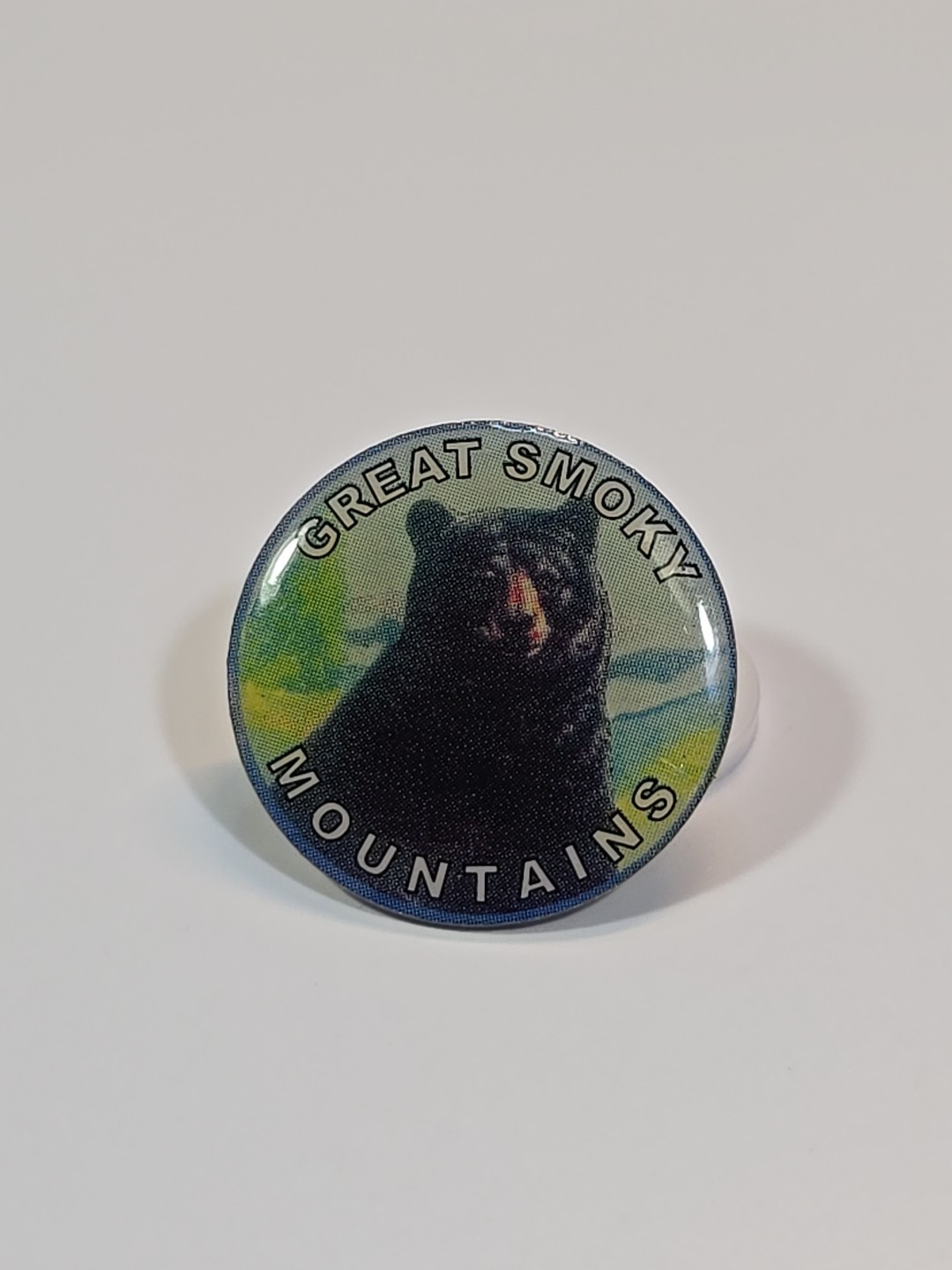 Great Smoky Mountains National Park Souvenir Pin North Carolina & Tennessee