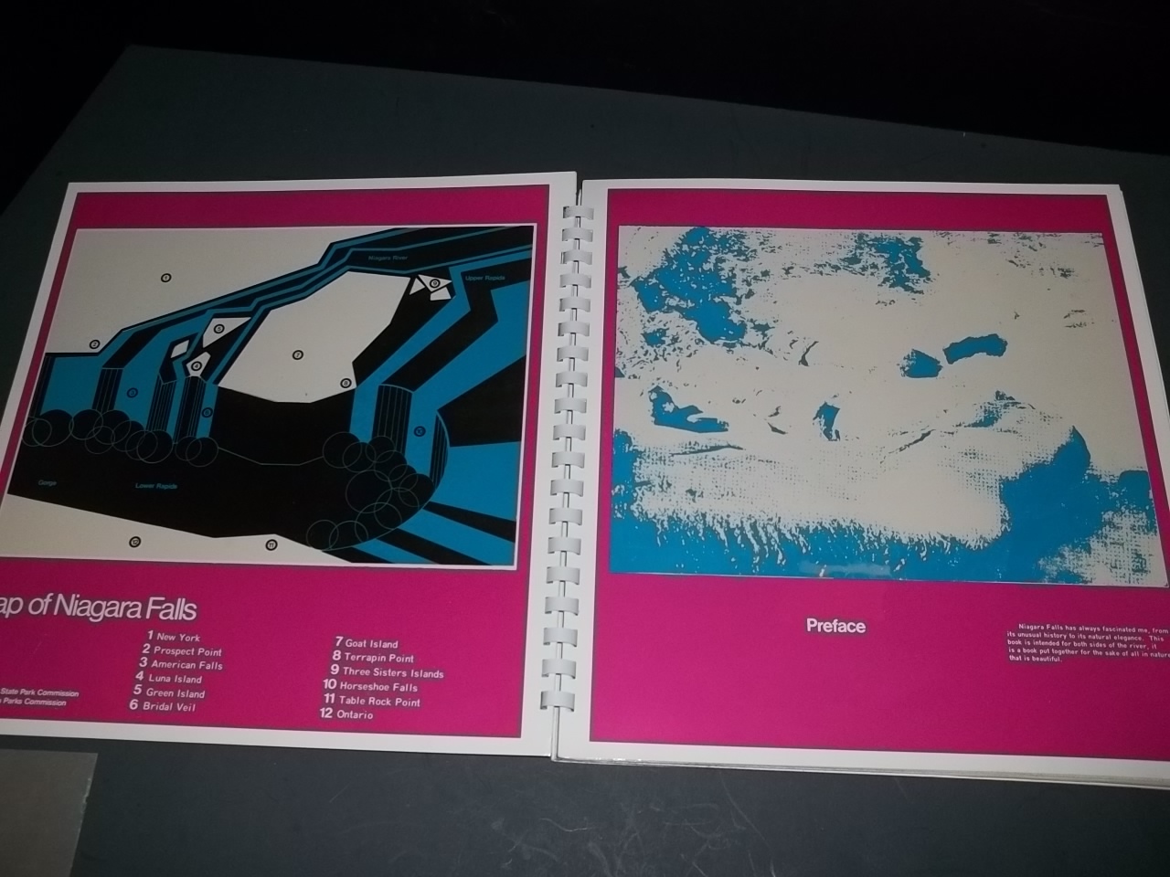 RARE NIAGARA FALLS 15 Page Book Map Park Commision Photo Plate Complilation