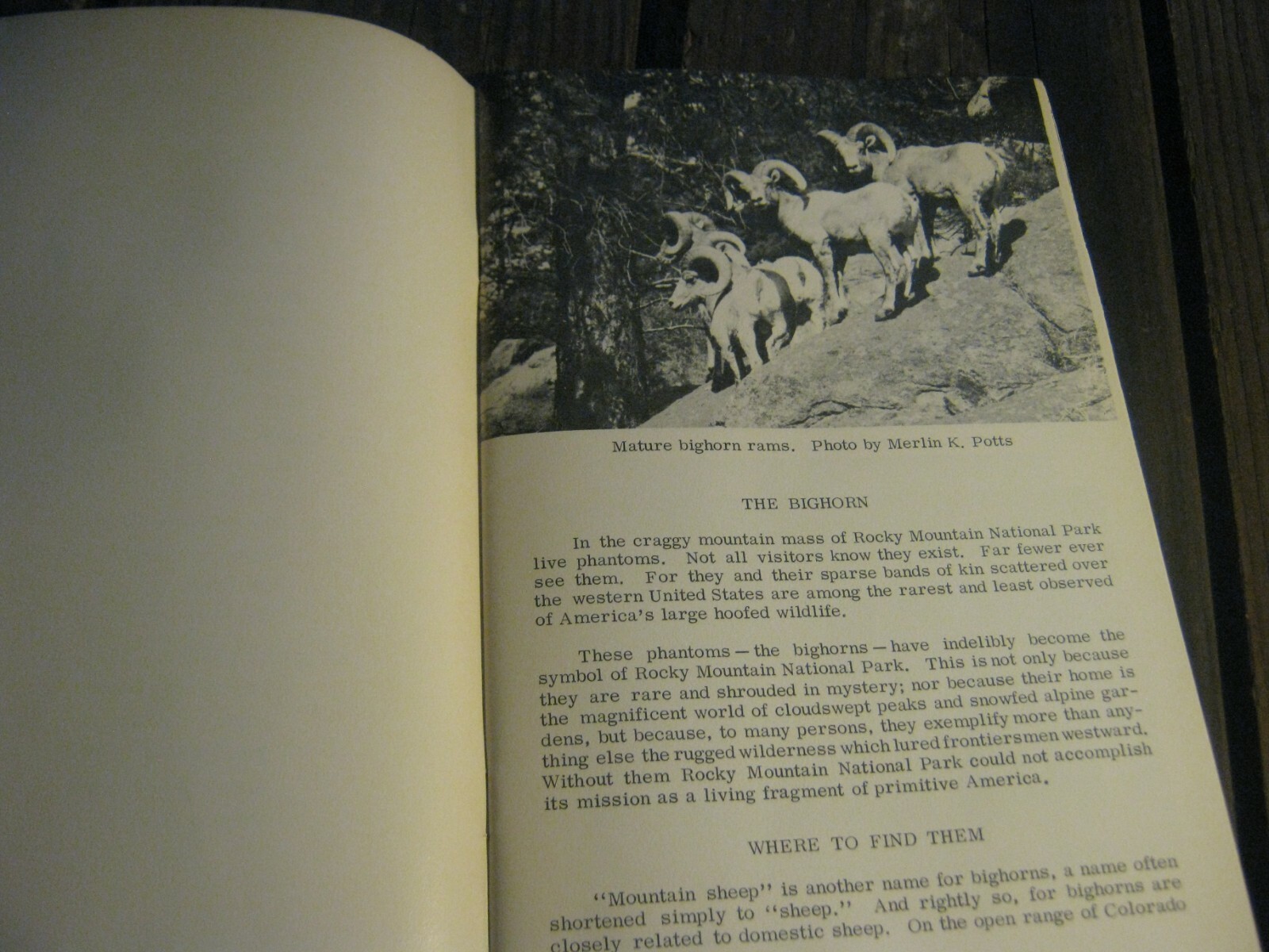 1968 Bighorn Elk and Deer Rocky Mountain National Park book Julie & Roger Contor
