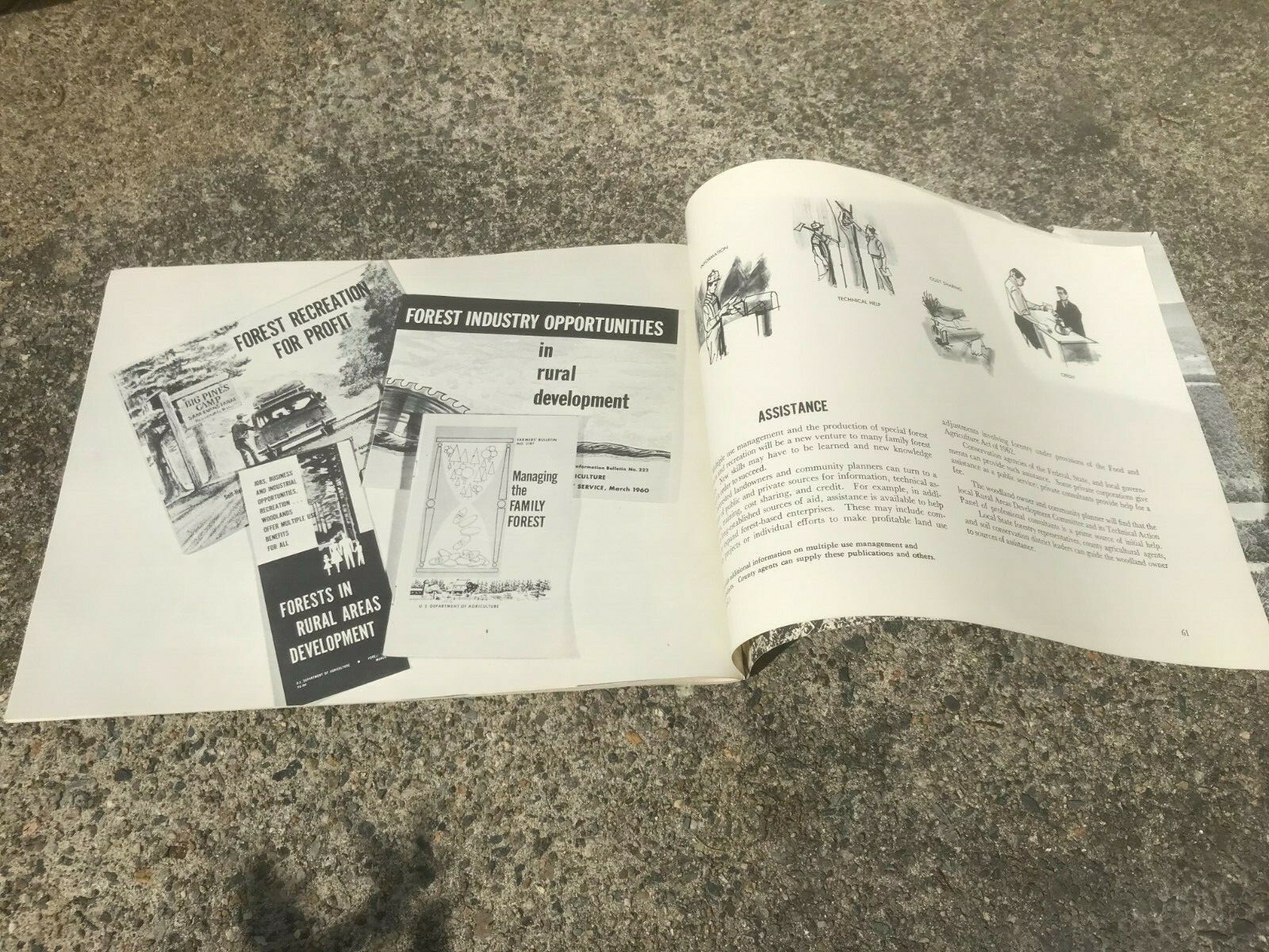 Vtg Booklet 1960s Special Forest Products for Profit US Dept of Agriculture – A2