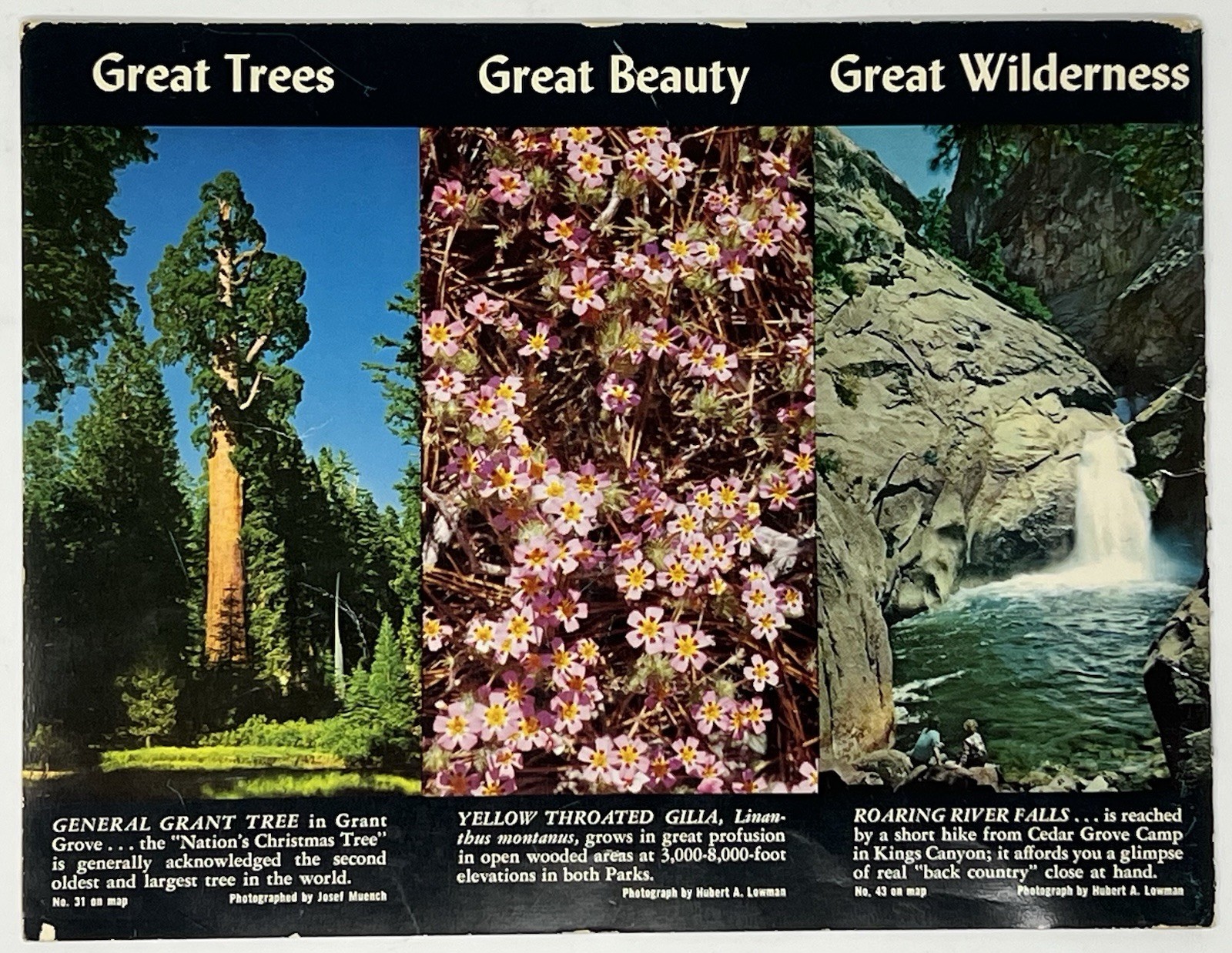 Vintage 1970s SEQUOIA And KINGS CANTON National Parks Booklet 9 x 7