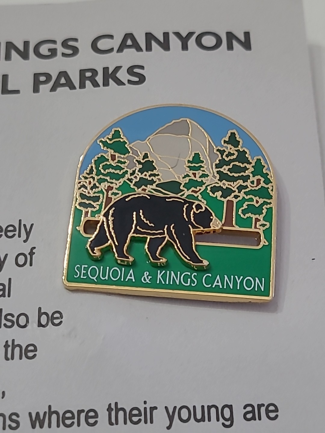 Black Bear On Slider Lapel Pin Sequoia Kings Canyon California Park Souvenir
