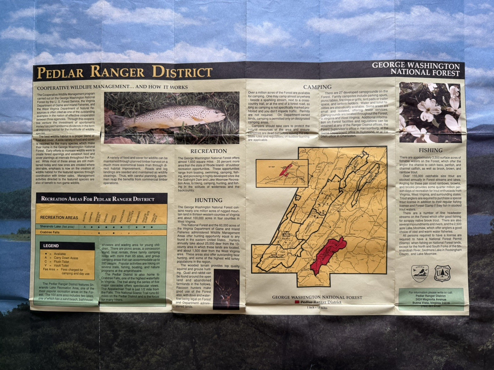 Vtg George Washington National Forest Pedlar Ranger District Map 1988 USDA