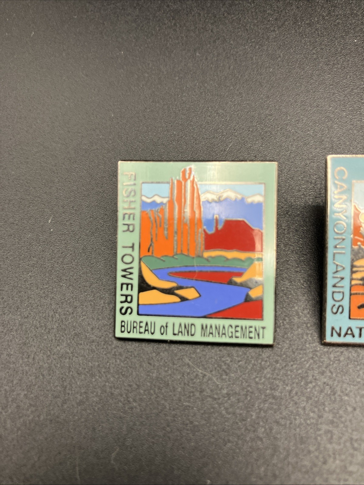 Various National Park Souvenir Lapel Pin