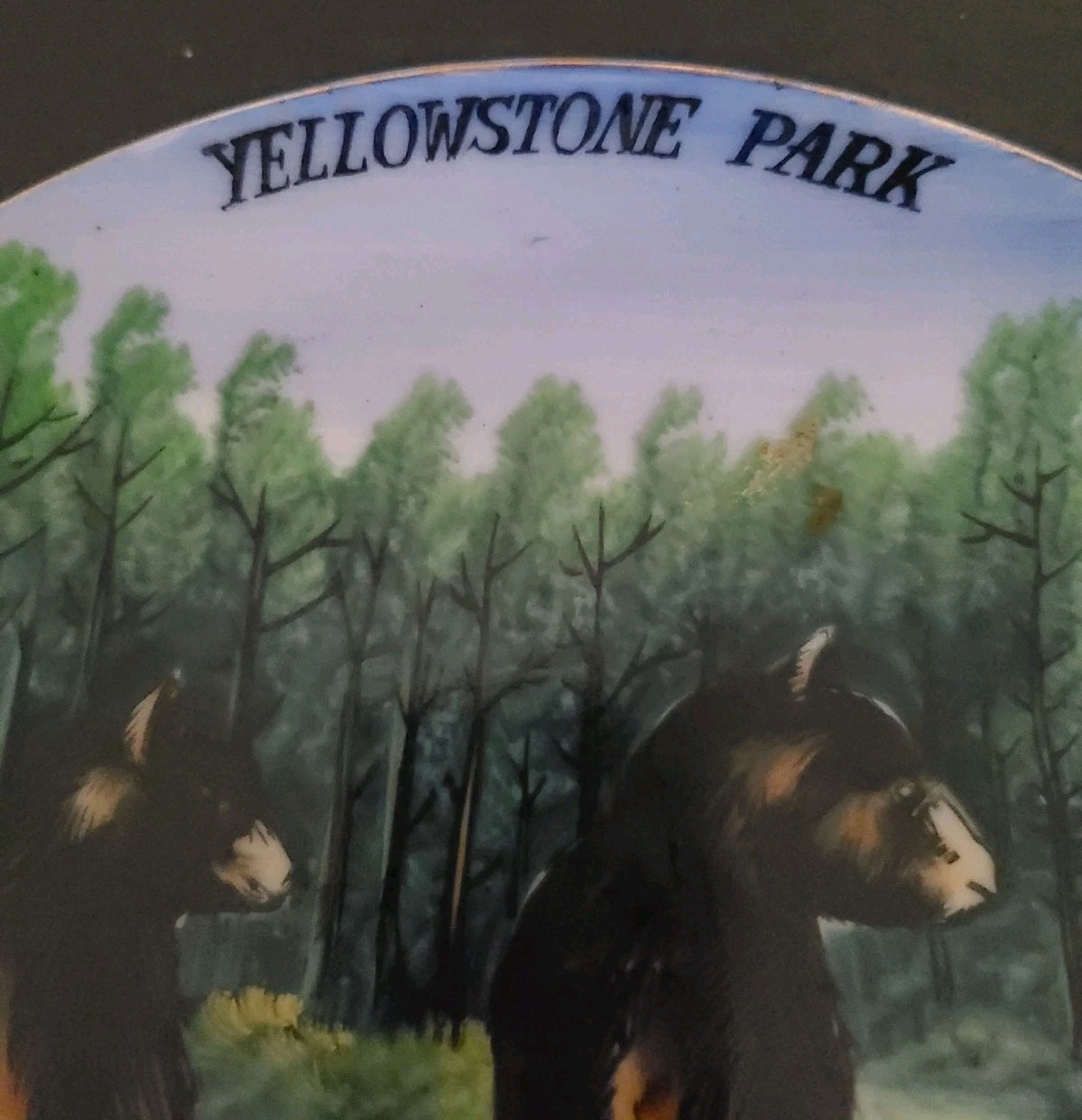 Vintage EARLY YELLOWSTONE NATIONAL PARK SOUVENIR 8″ Wall Plate Twin Bear Cubs