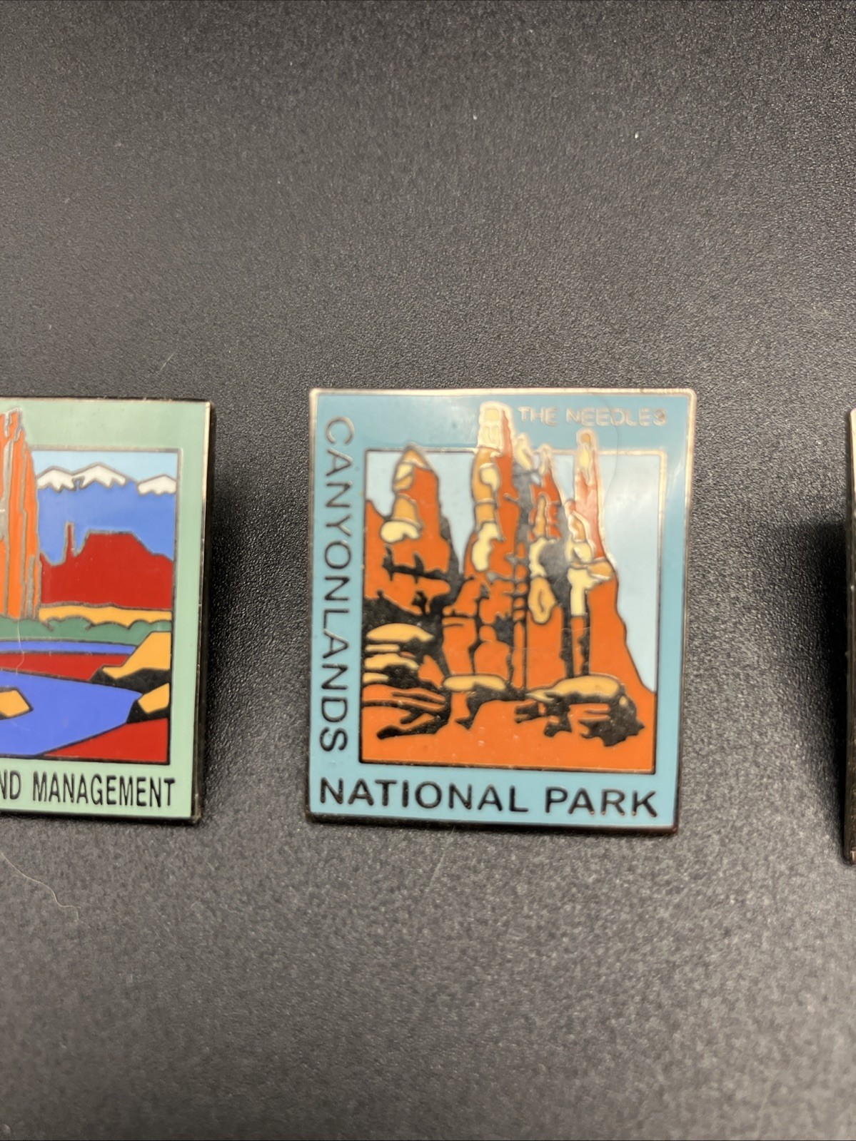 Various National Park Souvenir Lapel Pin