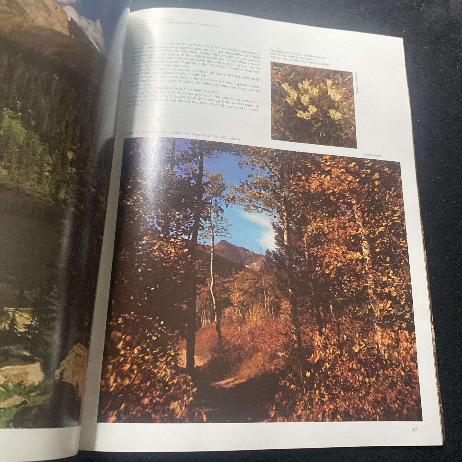 National Parkways Mesa Verde & Rocky Mountain National PArks, 1975 book
