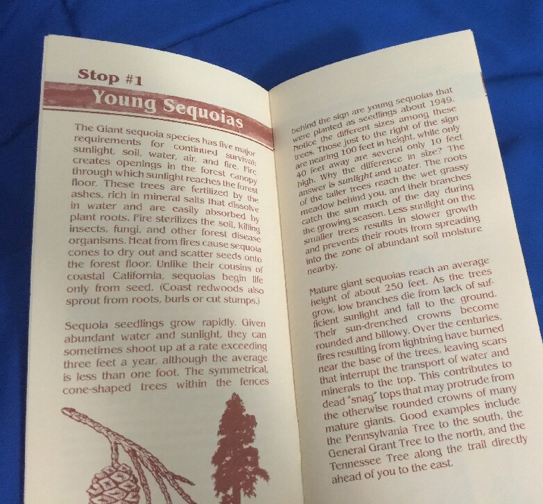 General Grant Tree Trail Booklet Sequoia Natural History Association 2008