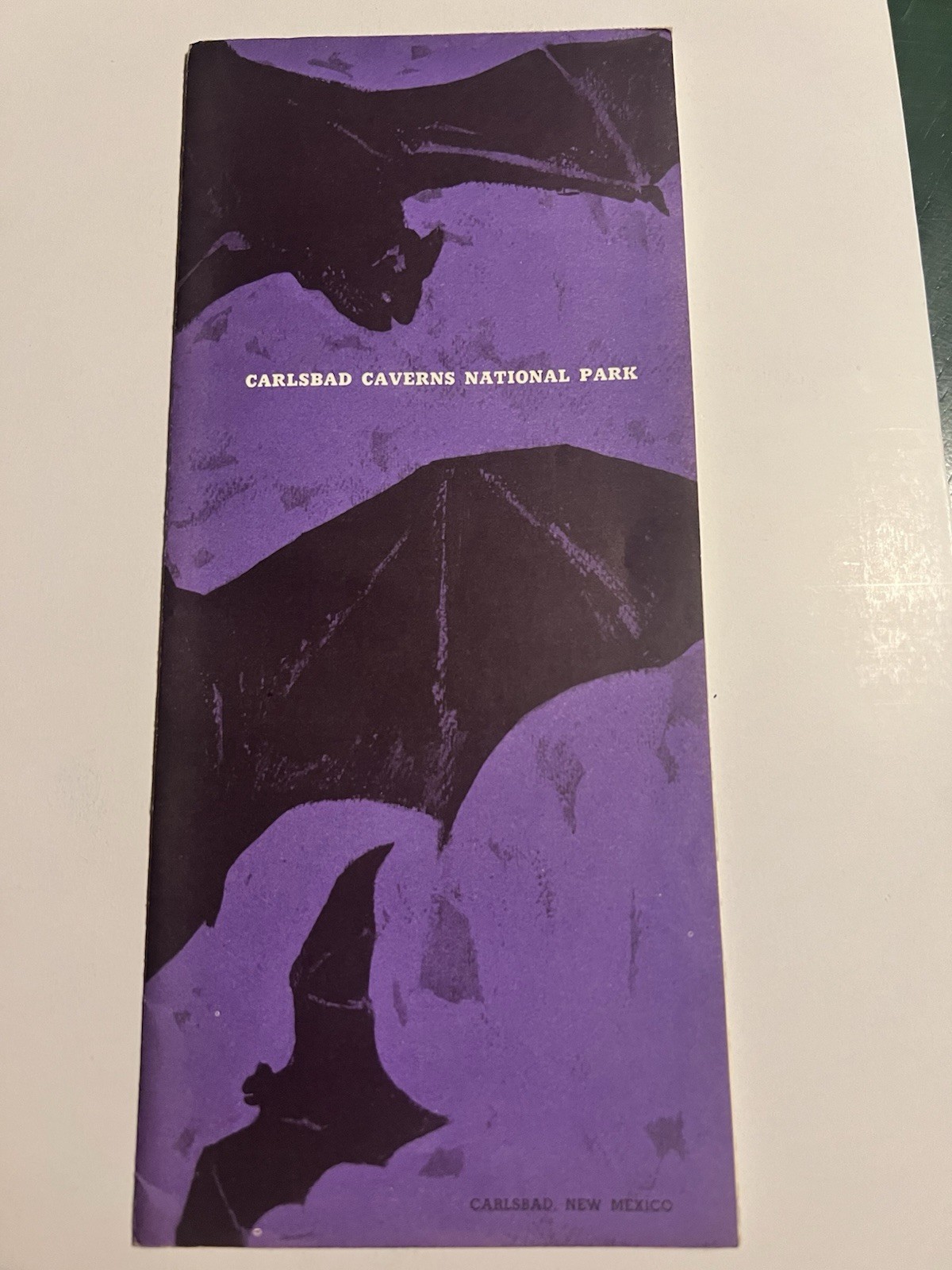 Vintage Carlsbad Caverns National Park Brochure 1967 Bats National Park Service