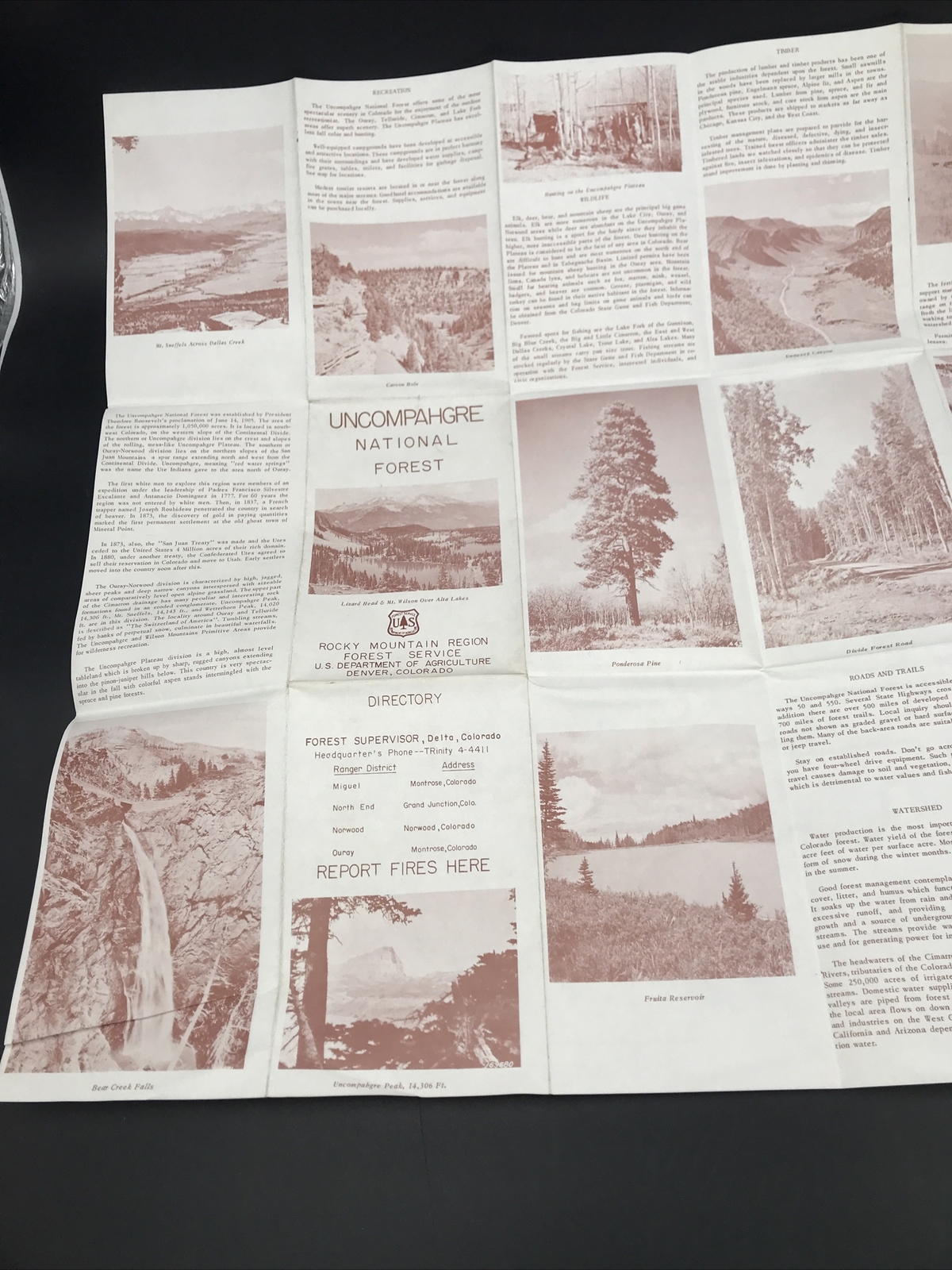 VTG 1951 Uncompahgre National Forest Colorado Map Forest Service Smokey the Bear