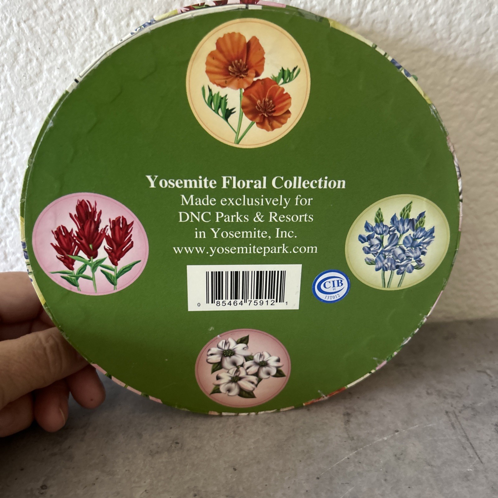 Set of 4 Yosemite Floral 6″ Dessert Plates Parks-Resorts Poppies-Lupin-Dogwood
