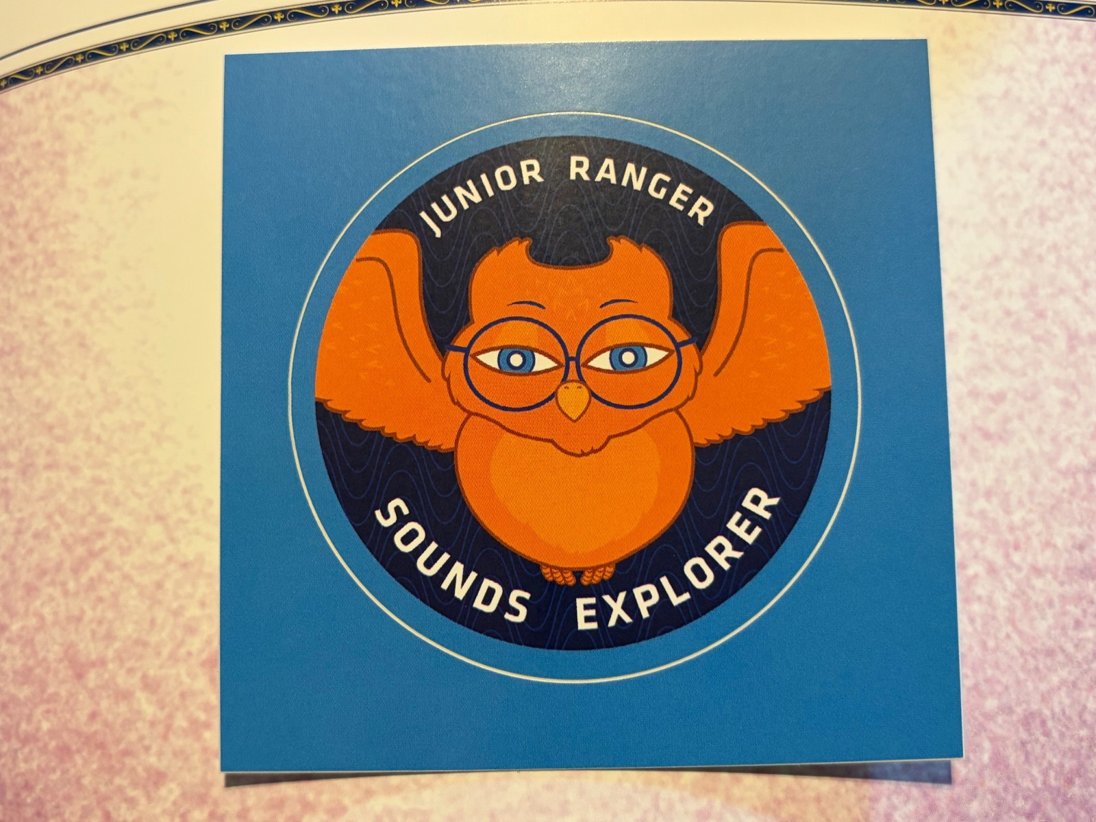 UNIQUE SOUNDS EXPLORER NATIONAL PARK JUNIOR RANGER BADGE BOOK NATURE SCOUTS ART