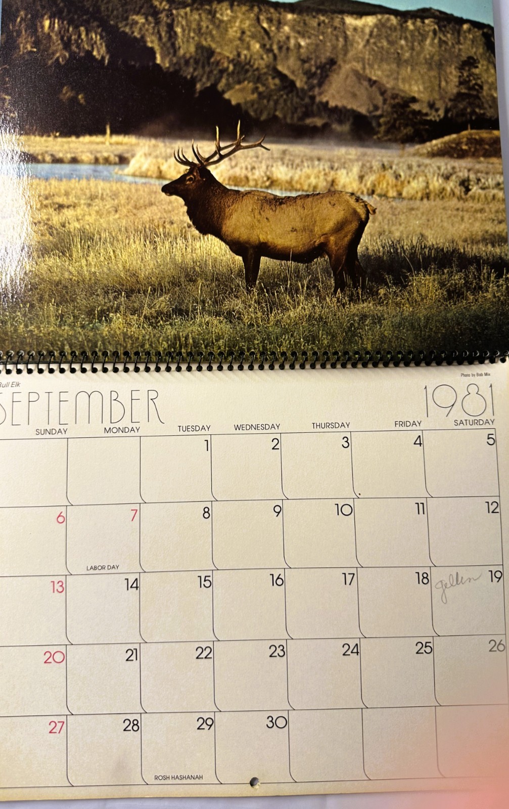 1981 Yellowstone & Grand Teton National Parks Wyoming Color Calendar Spiral Hang