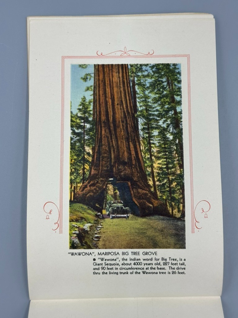c 1940 YOSEMITE NATIONAL PARK Illustrated TRAVEL SOUVENIR Brochure Vintage