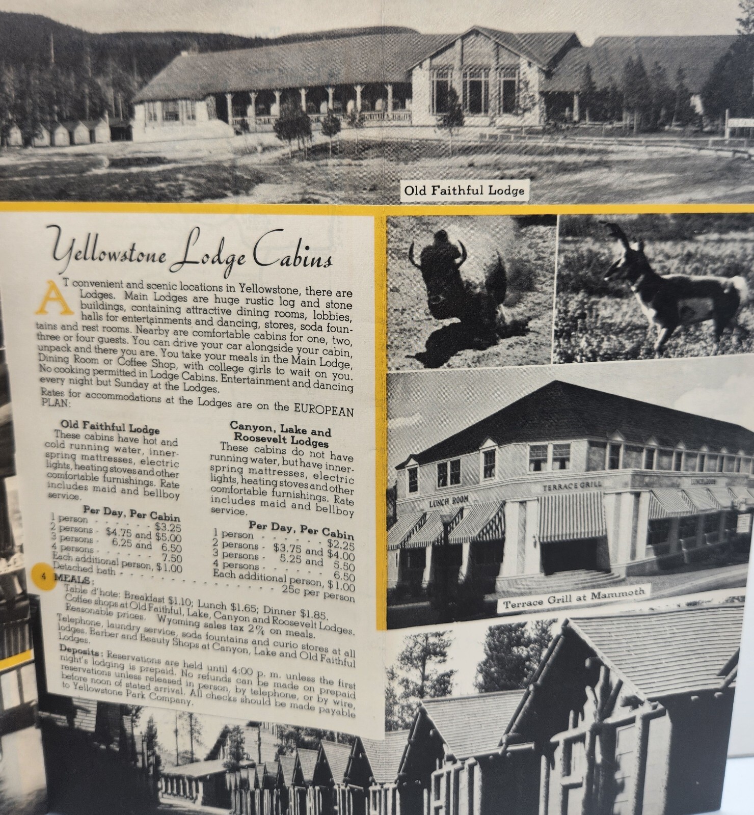 Yellowstone National Park Brochure Hotels Cottages Lodging Cabins c.1952