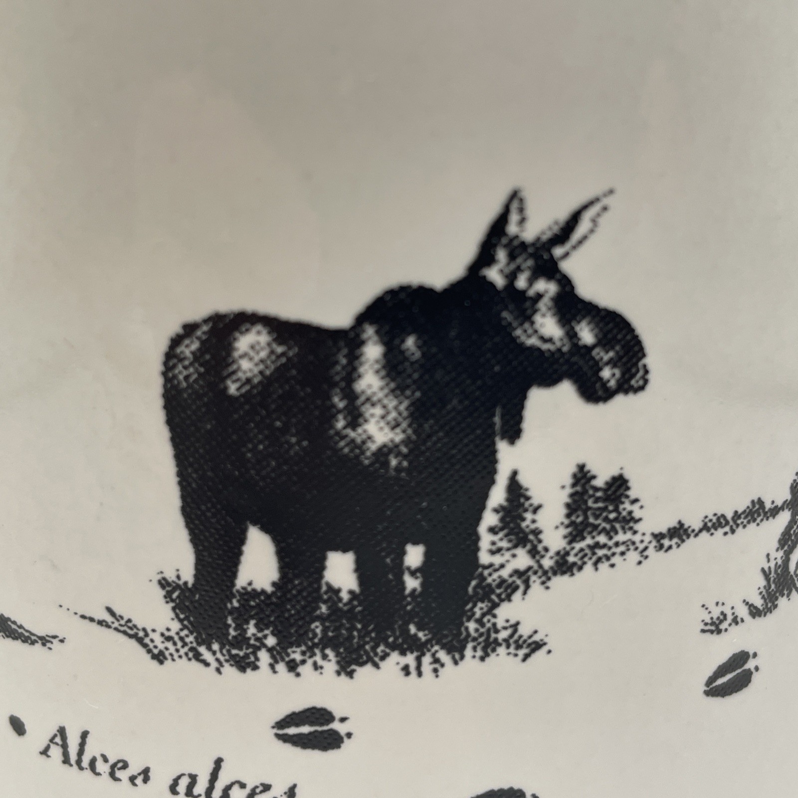Yellowstone National Park Black & White Coffee Mug Cup with Moose Design EUC