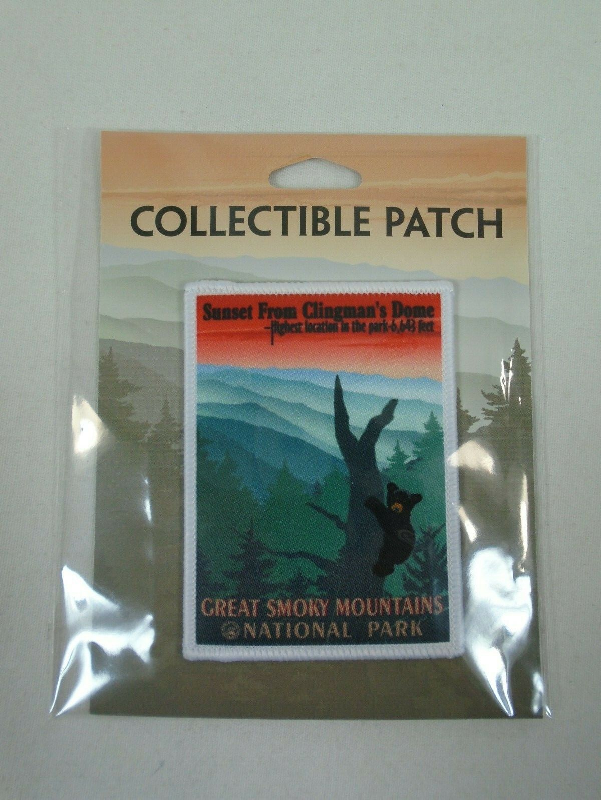 Clingmans Dome Great Smoky Mountains National Park Sunset Black Bear Tree Patch