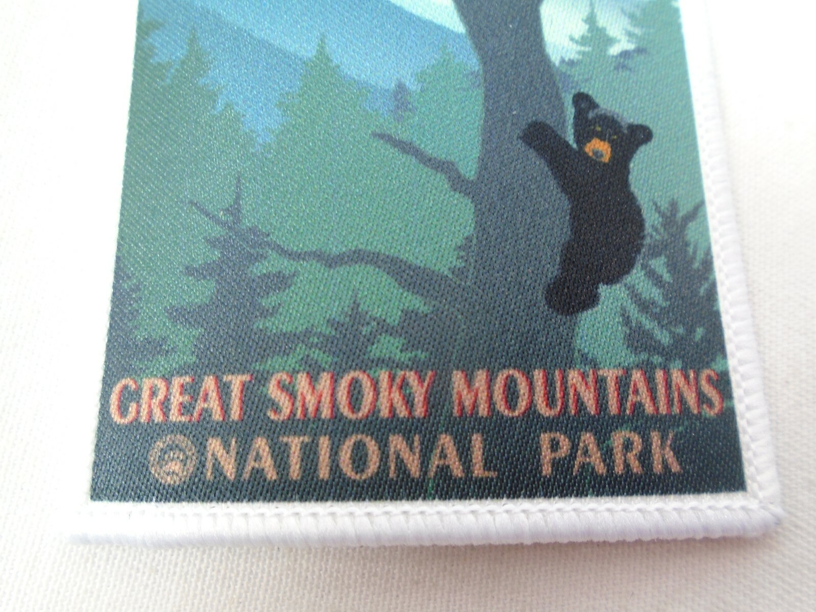Clingmans Dome Great Smoky Mountains National Park Sunset Black Bear Tree Patch