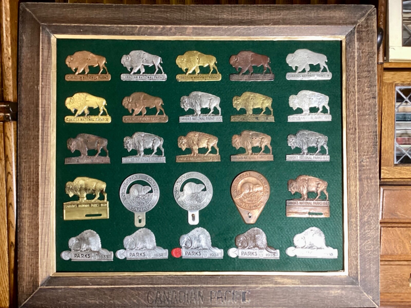 Scarce 1932 Wild Animal Park Moose Jaw Parks Pass