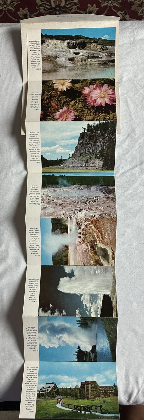 1957 Yellowstone National Park Picturamic Color Photographs With Bio Very Cool