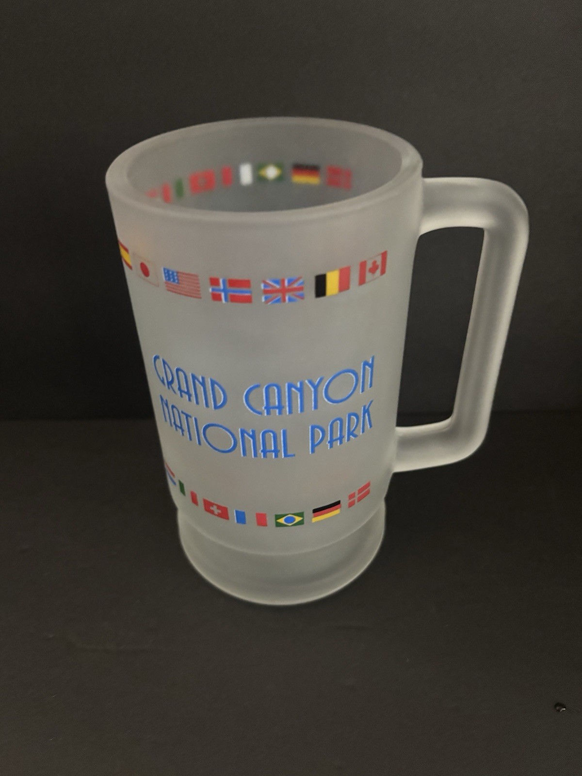 Grand Canyon Frosted Glass Beer Mug Stein 16 Ounces Nice