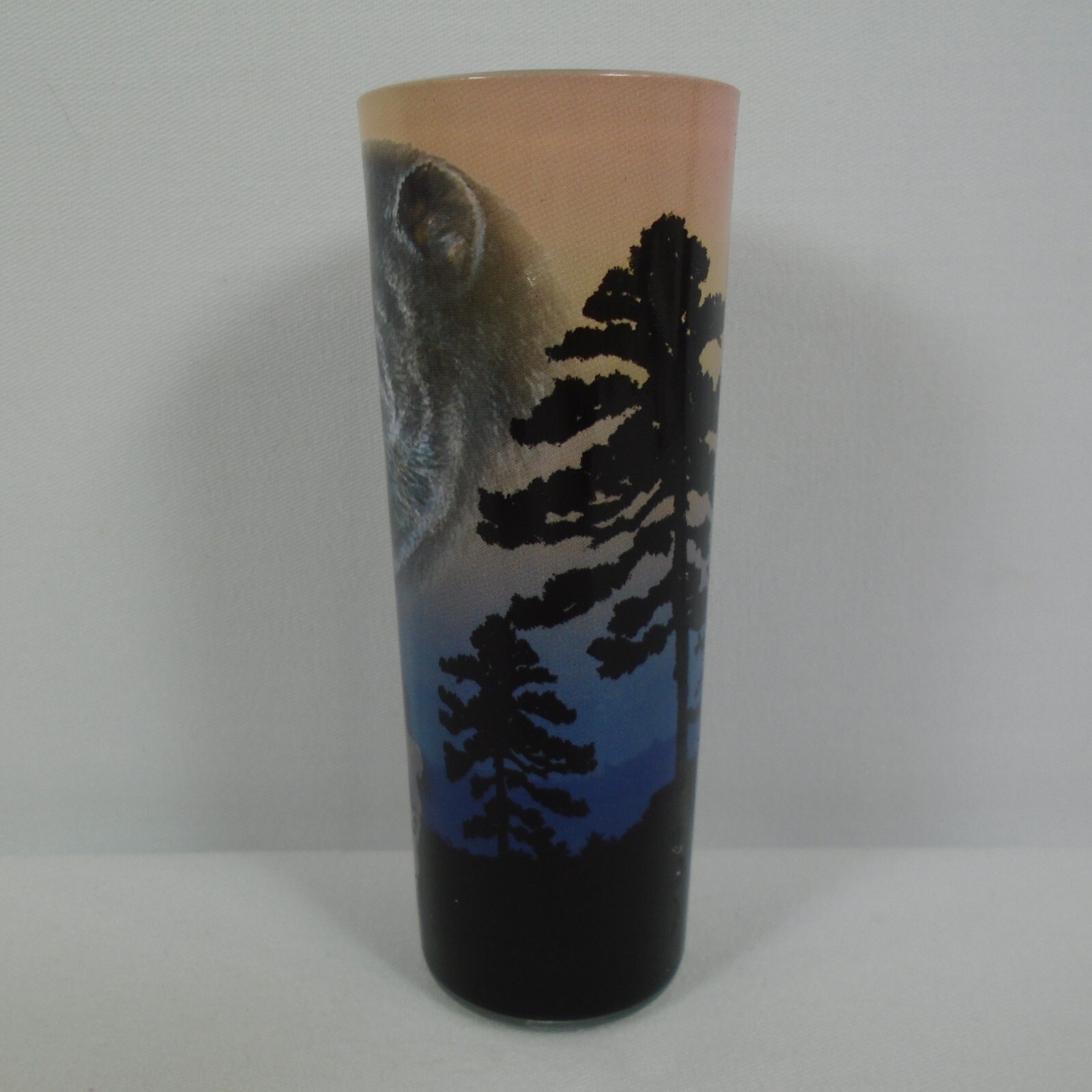 Great Smoky Mountains Black Bears Souvenir Shot Glass Gatlinburg Pigeon Forge Lg