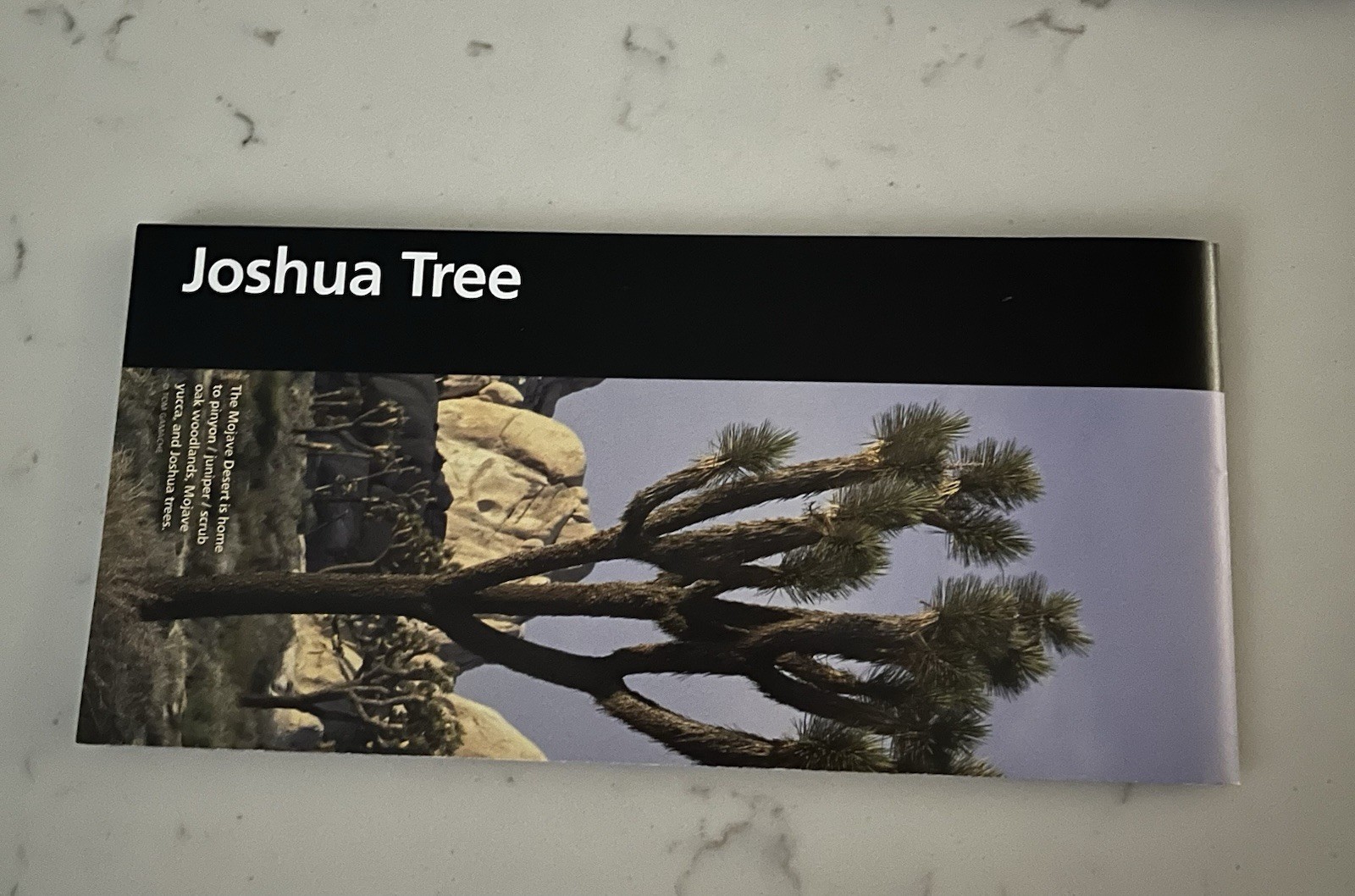 Joshua Tree National Park Map | New & Official | No Stamps | FREE SHIPPING