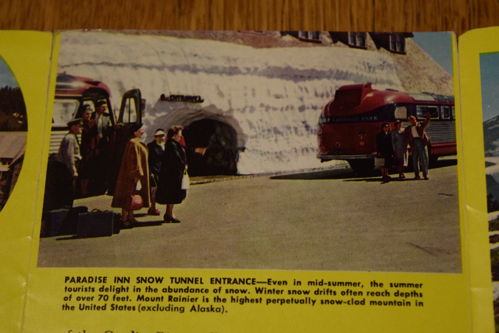 1966 Mount Rainier National Park Travel Sight-Seeing Brochure Mid-Century