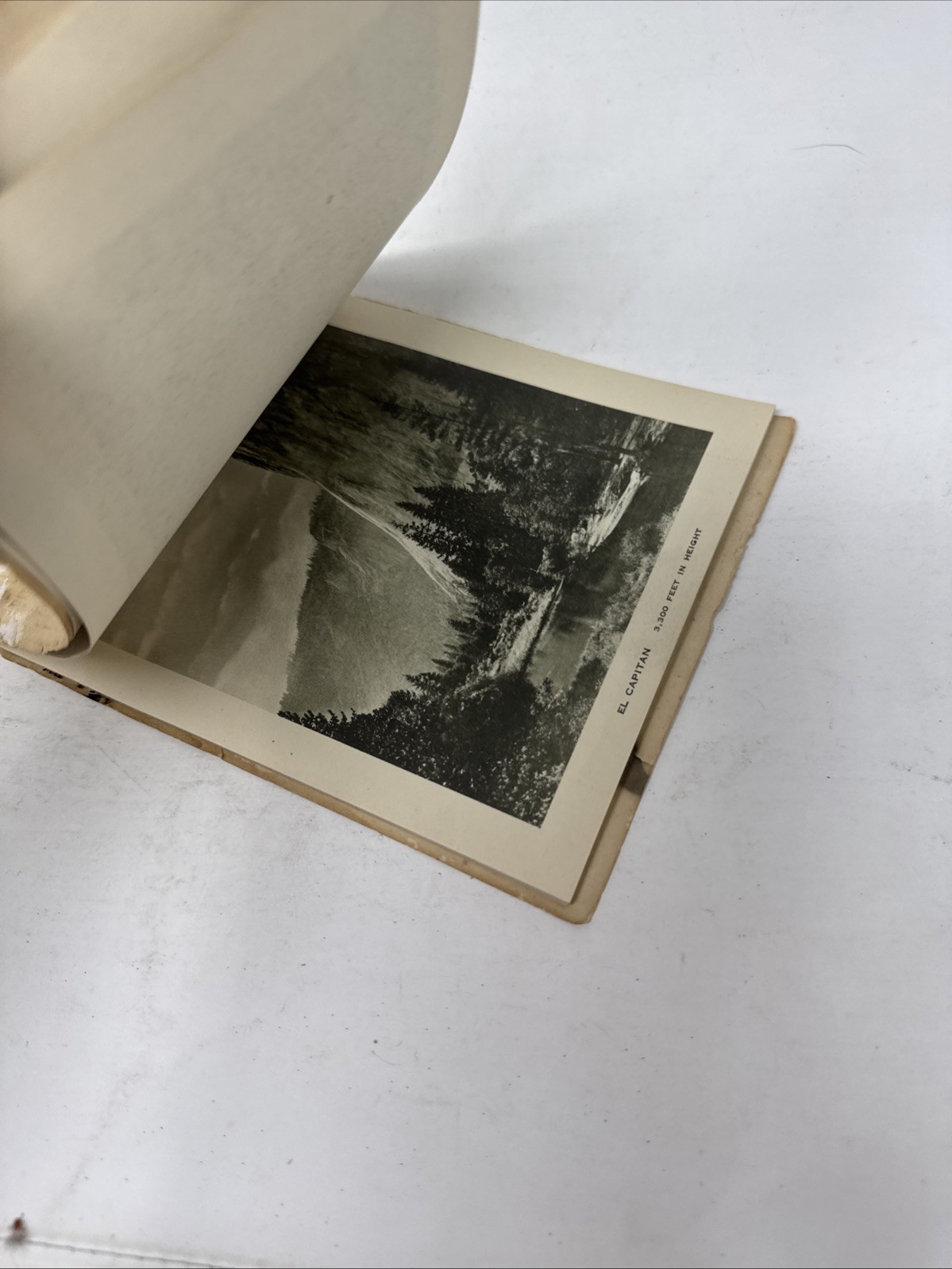 Yosemite National Park California Photo Gravures Set Vintage Pacific Novelty
