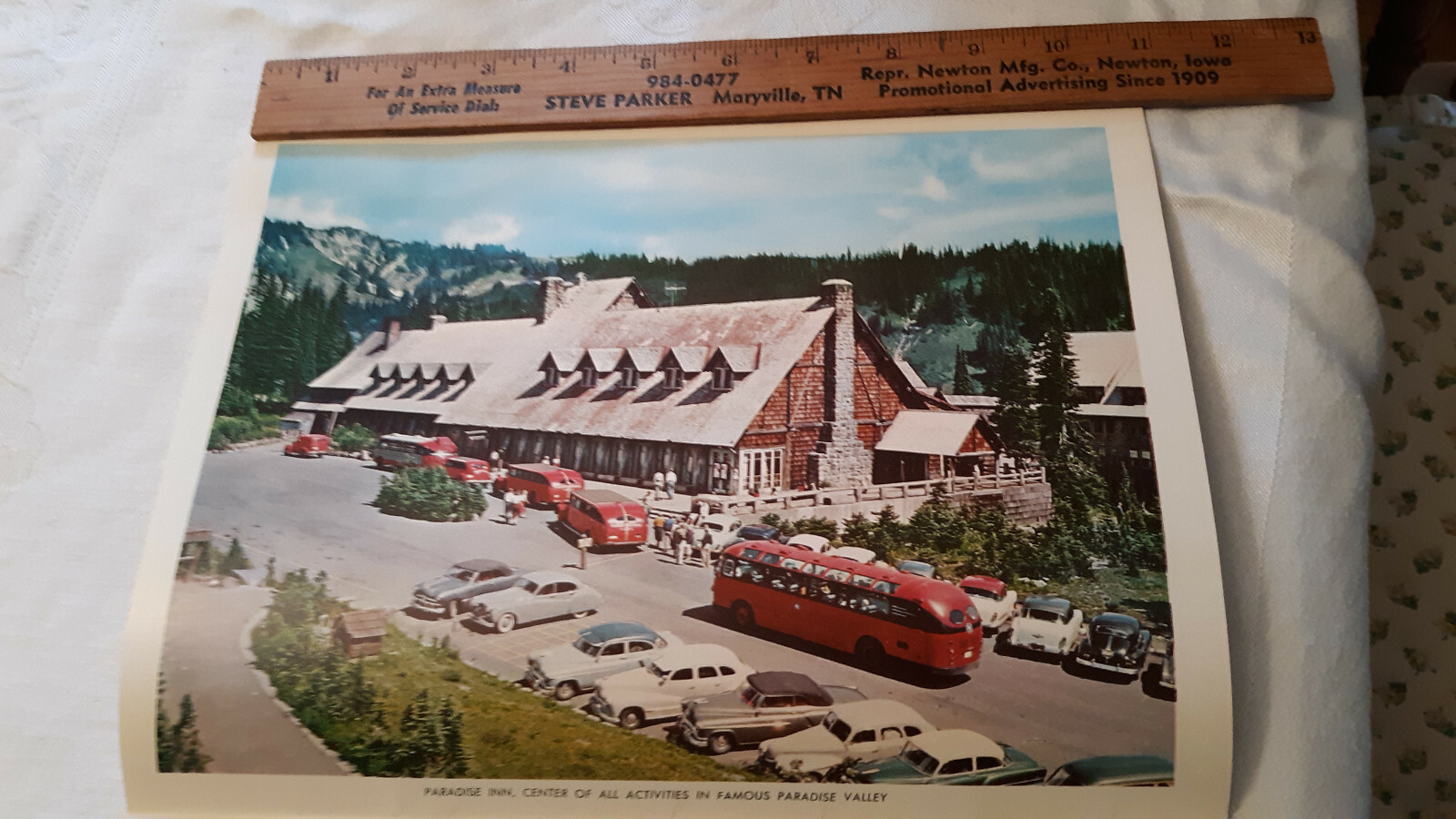 Paradise Inn Washington Large Postcard WA 6″ x 9″ Old cars & bus 1950s