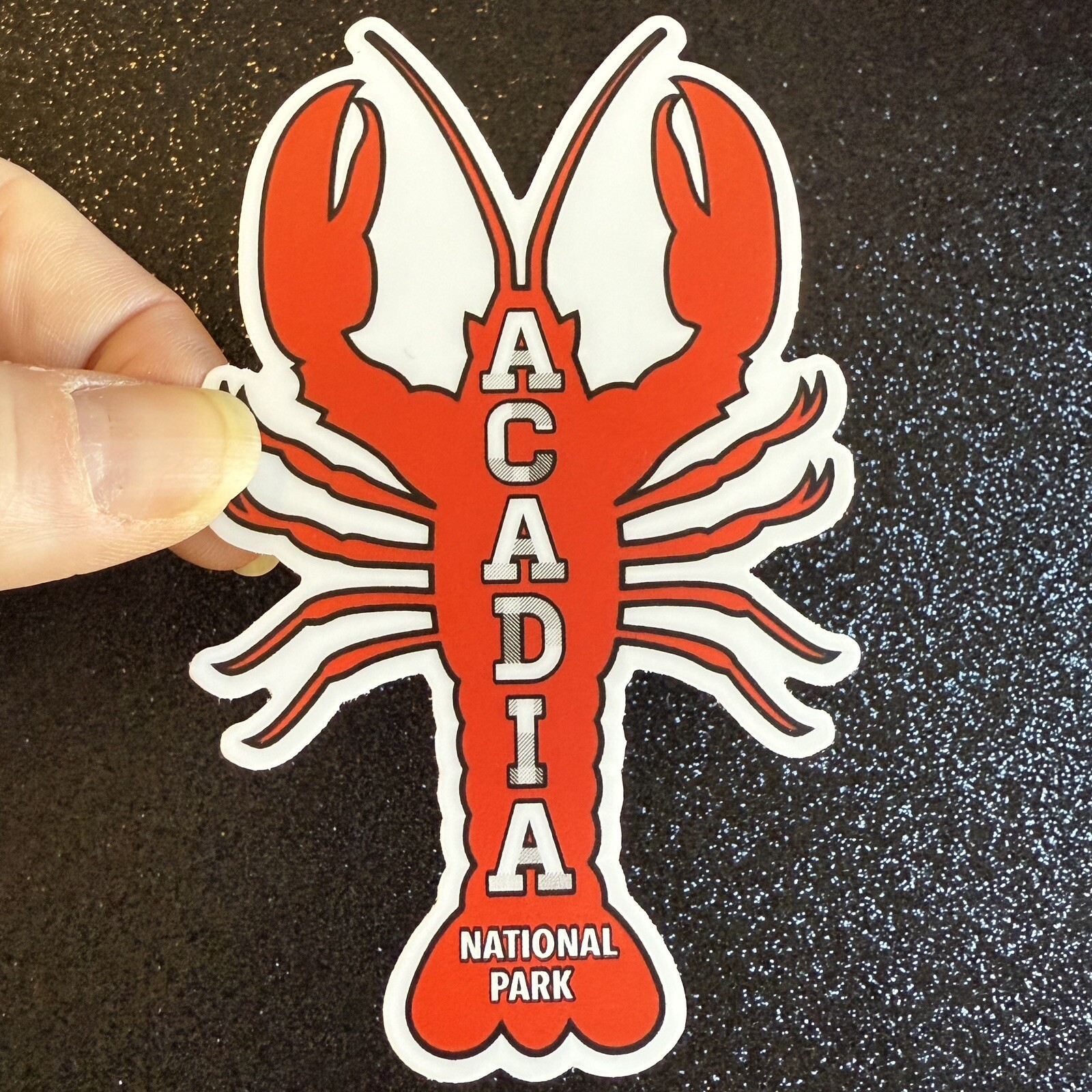 Acadia National Park Weatherproof Vinyl Sticker- Maine Lobster