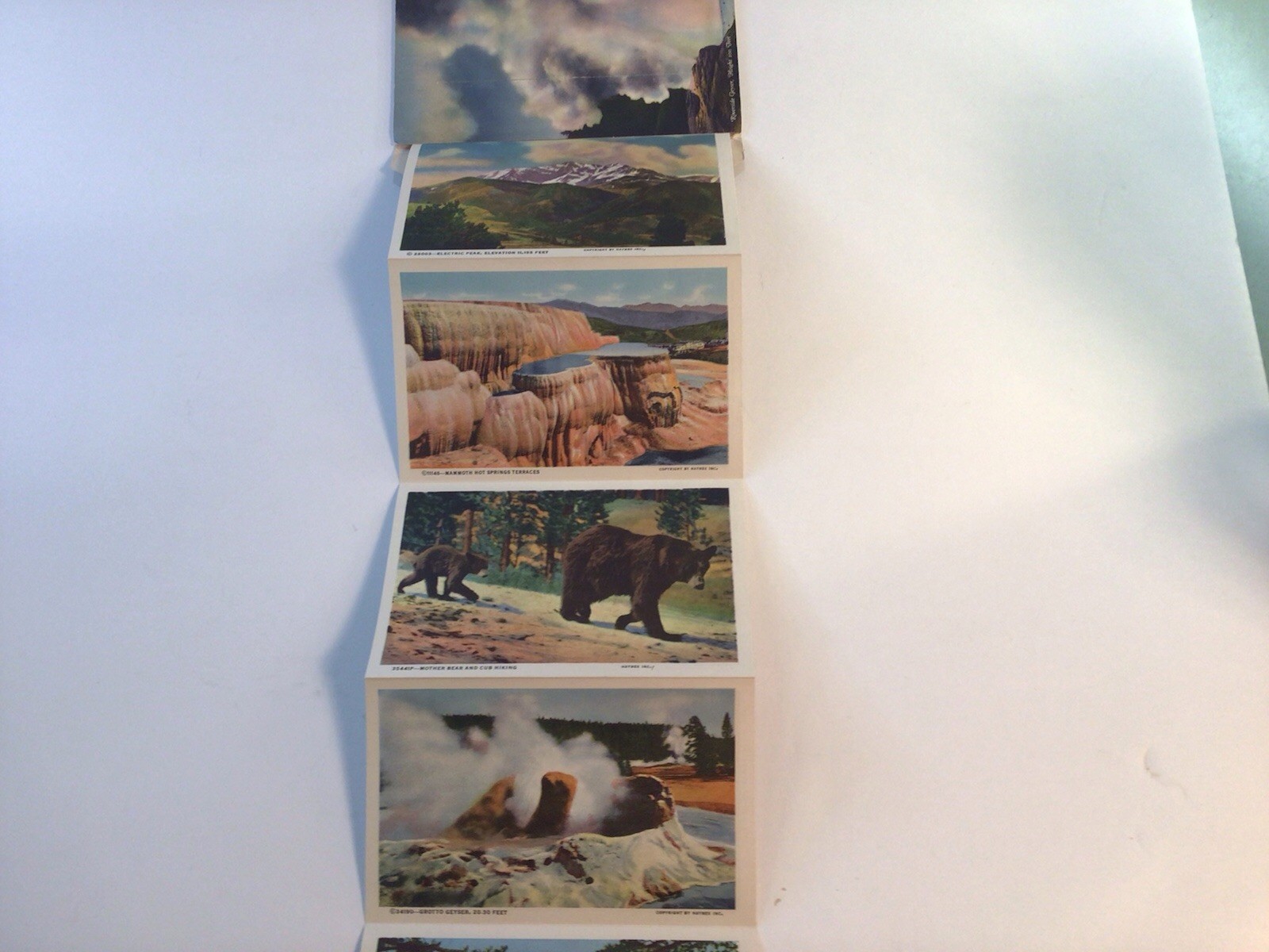 Souvenir Folder Of Postcards From Yellowstone National Park Series “C” 1946