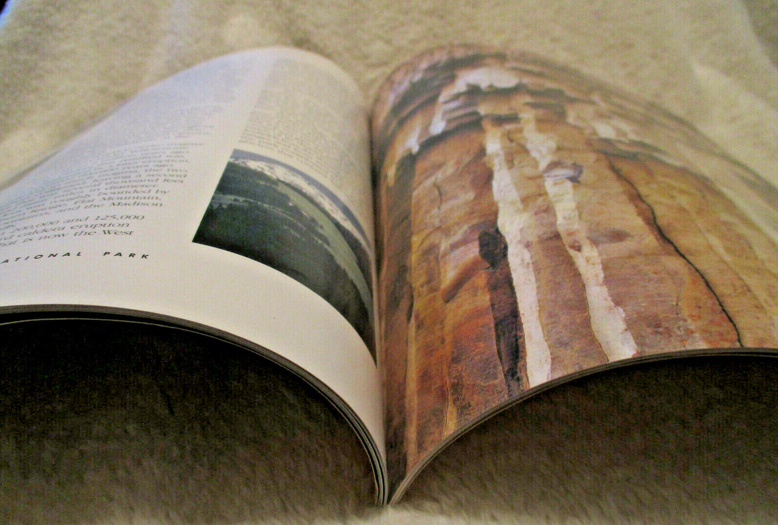 Yellowstone National Park~1989~1st Printing~Soft Cover