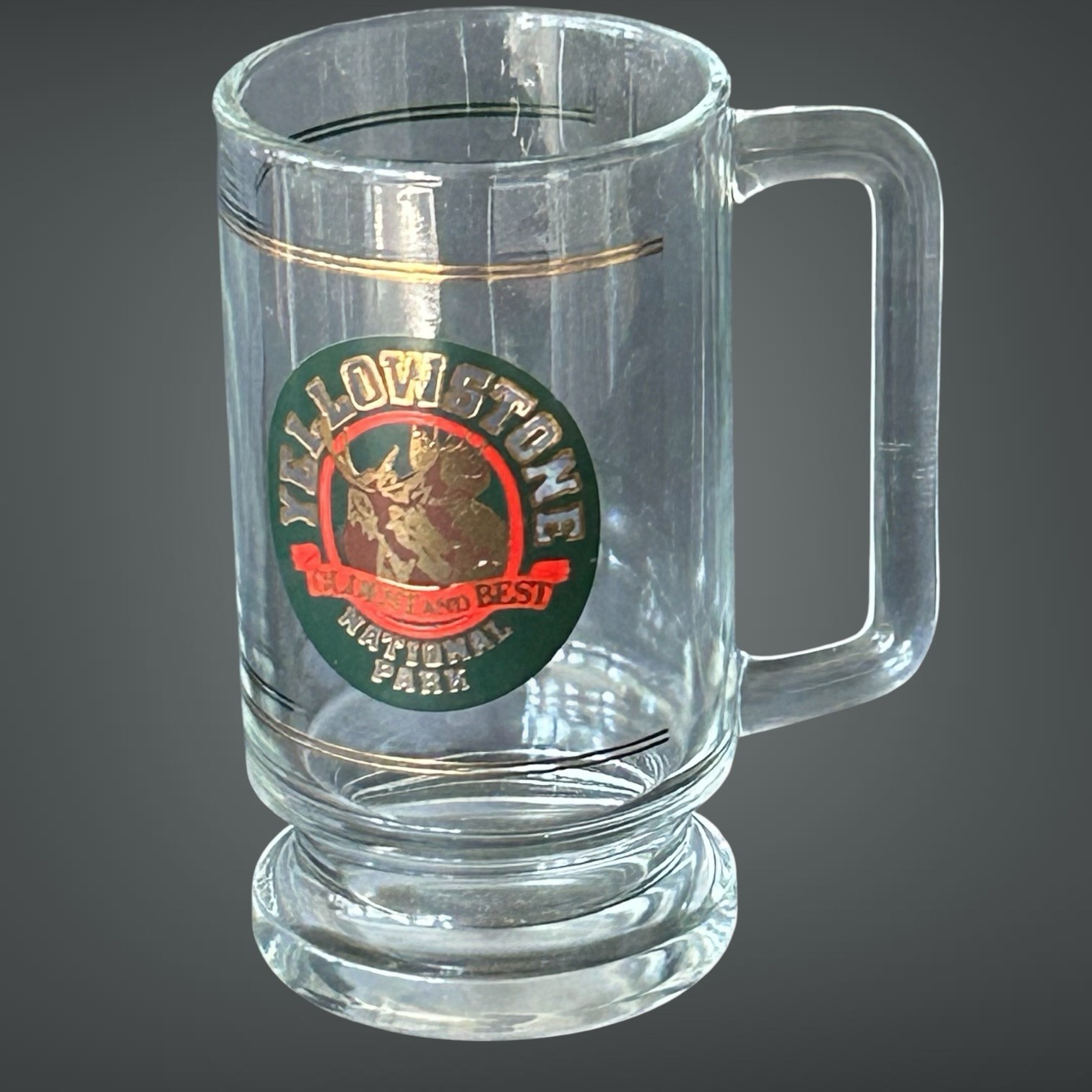 Vintage Yellowstone National Park Oldest And Best Moose Logo 16oz Glass Mug