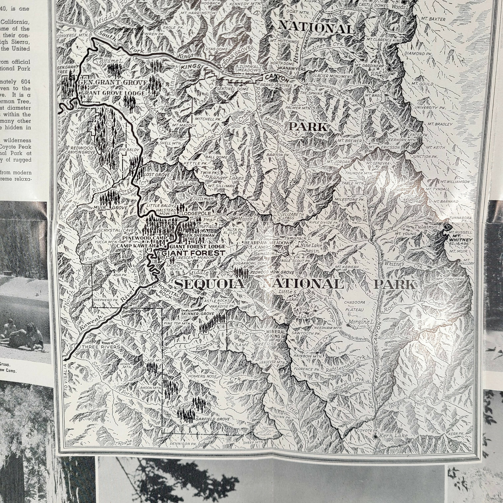 1954 Sequoia & Kings Canyon National Park Vintage Travel Brochure California