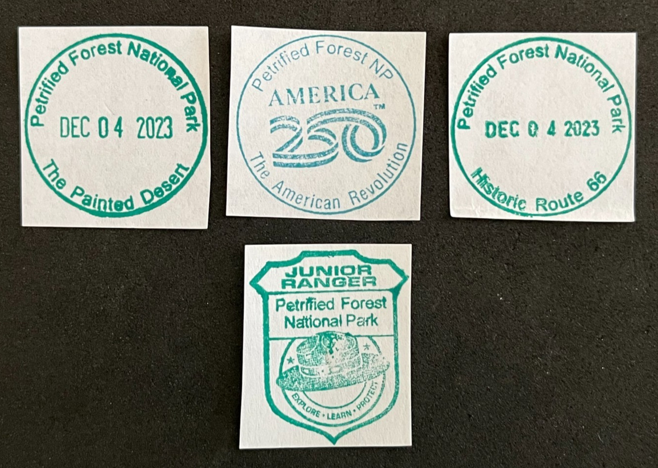 PETRIFIED FOREST America 250 NATIONAL PARK SERVICE CANCELLATION/PASSPORT STAMP
