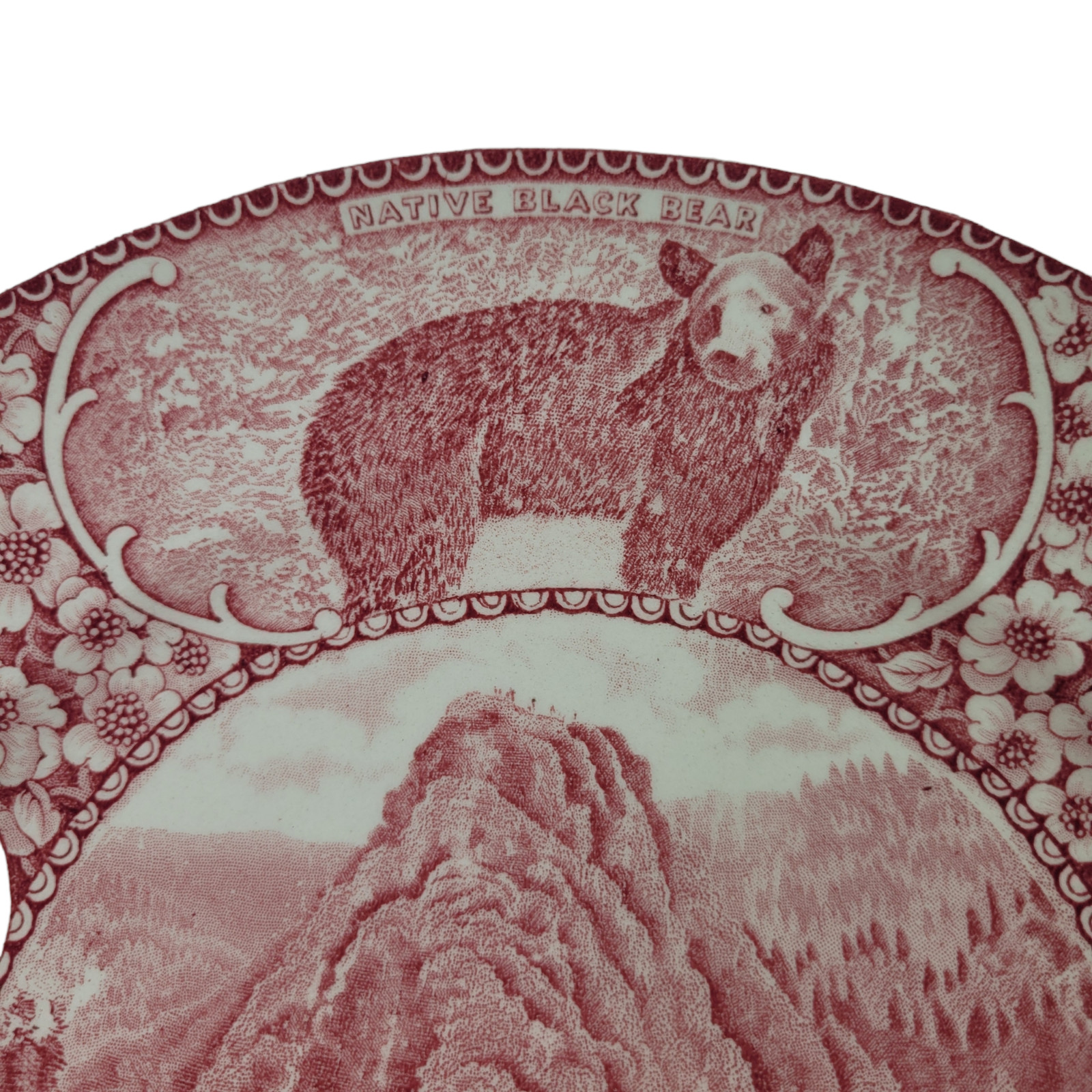 Red Transferware Plate Staffordshire Great Smoky Mountains National Park 9-3/4″